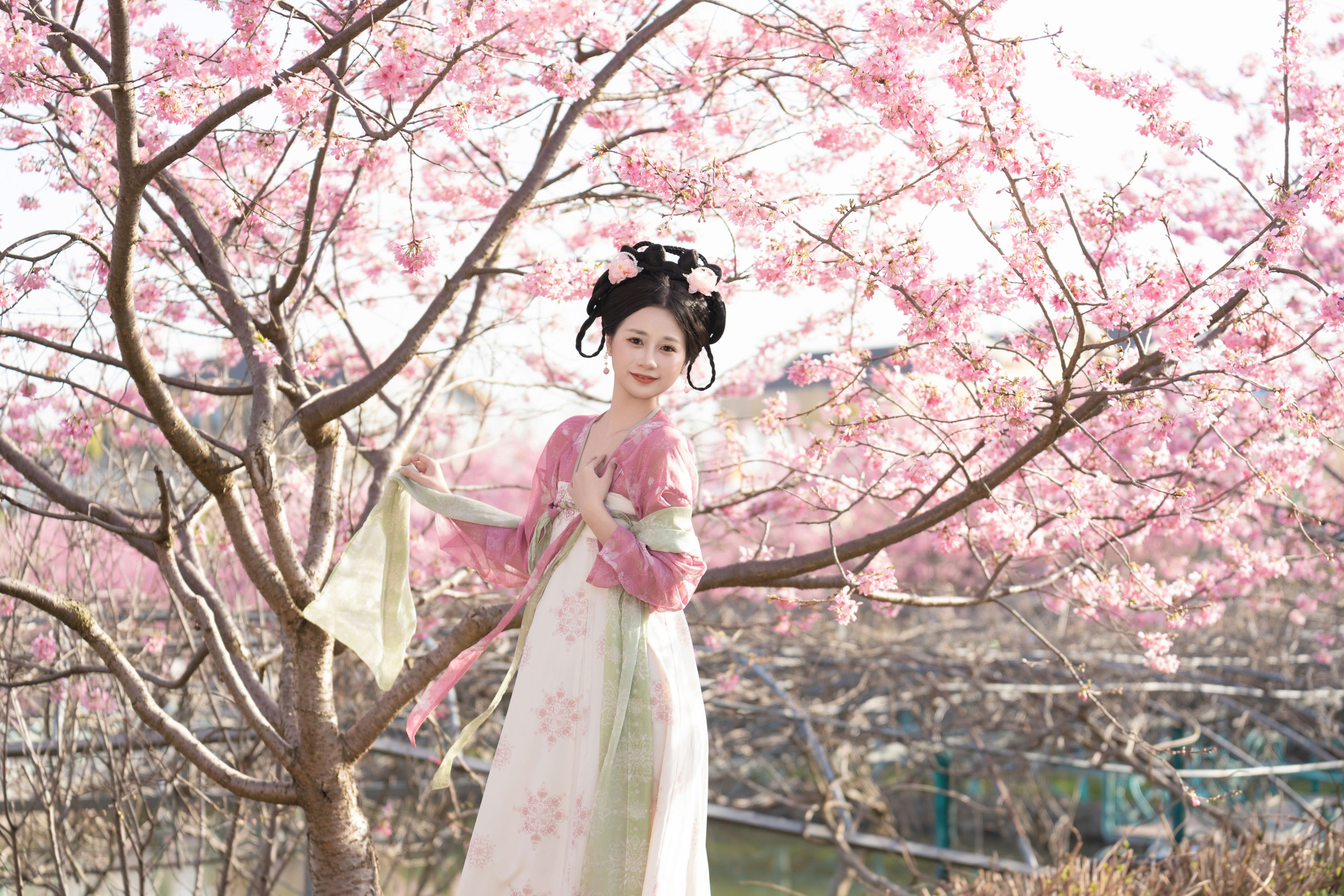 图片[3]-橙子舒 – 《樱花汉服》[23P]-COS写真在线网