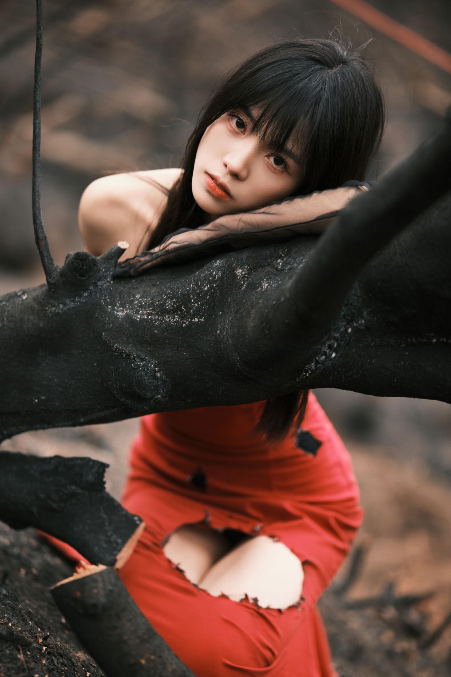 图片[6]-小松麻奈 – 《山火余烬》[30P]-COS写真在线网