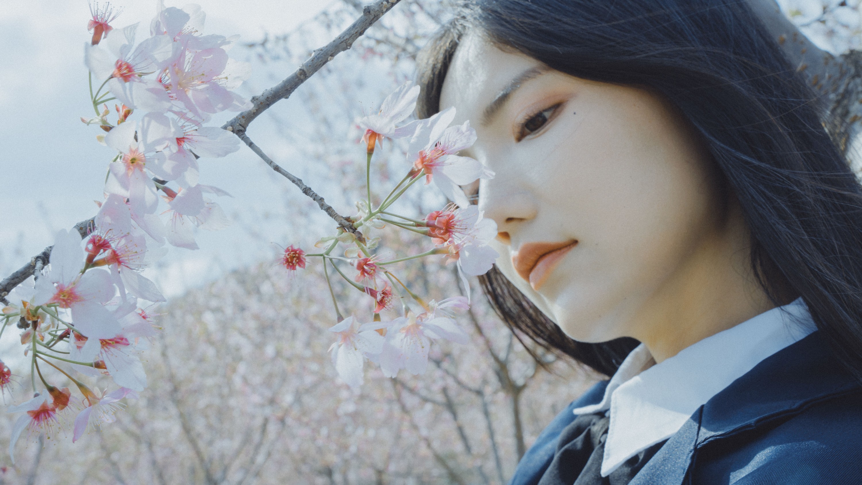 图片[4]-多米Domy – 《樱花已开》[26P]-COS写真在线网