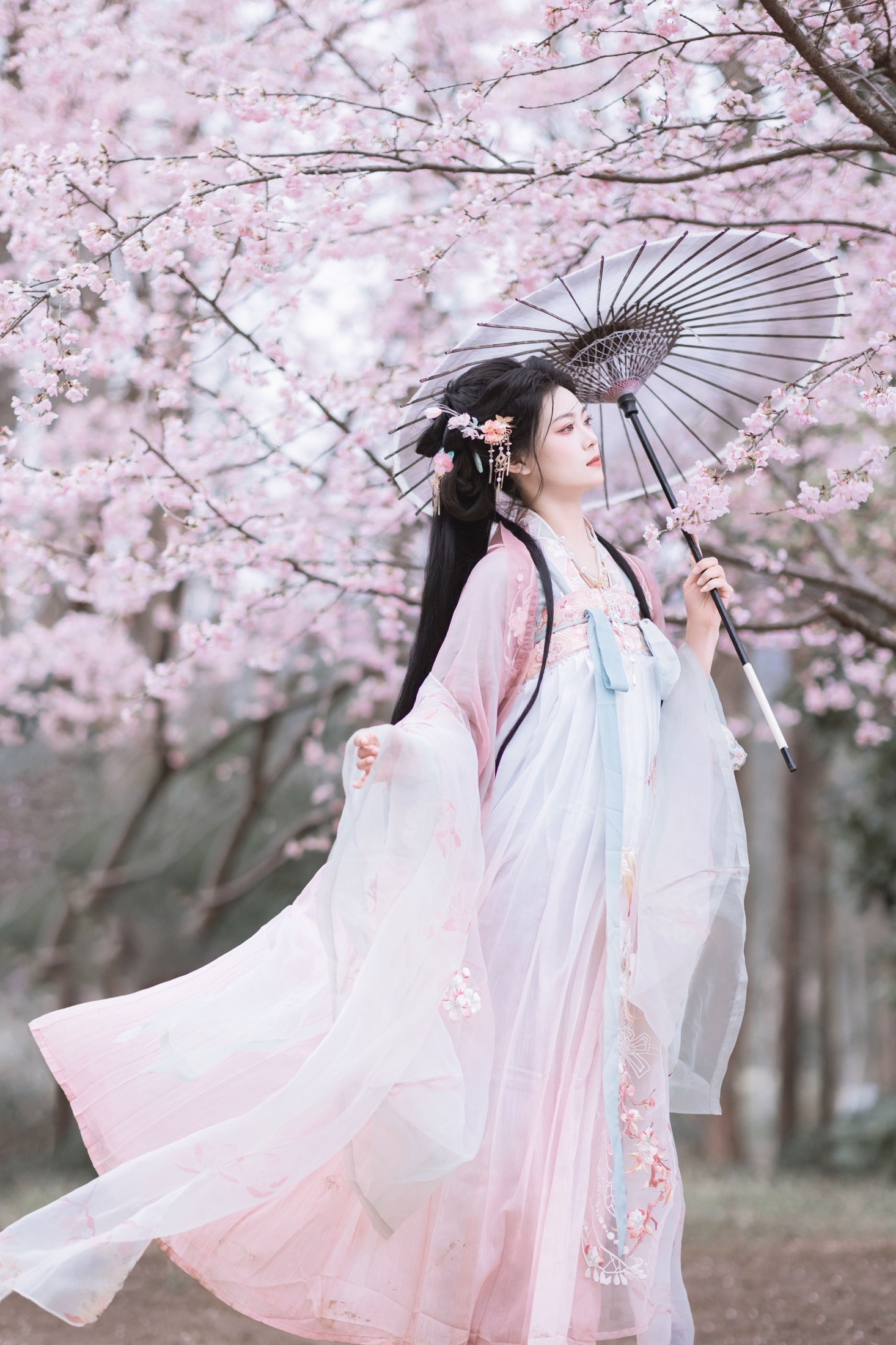 图片[6]-昔让 – 《春之樱》[21P]-COS写真在线网