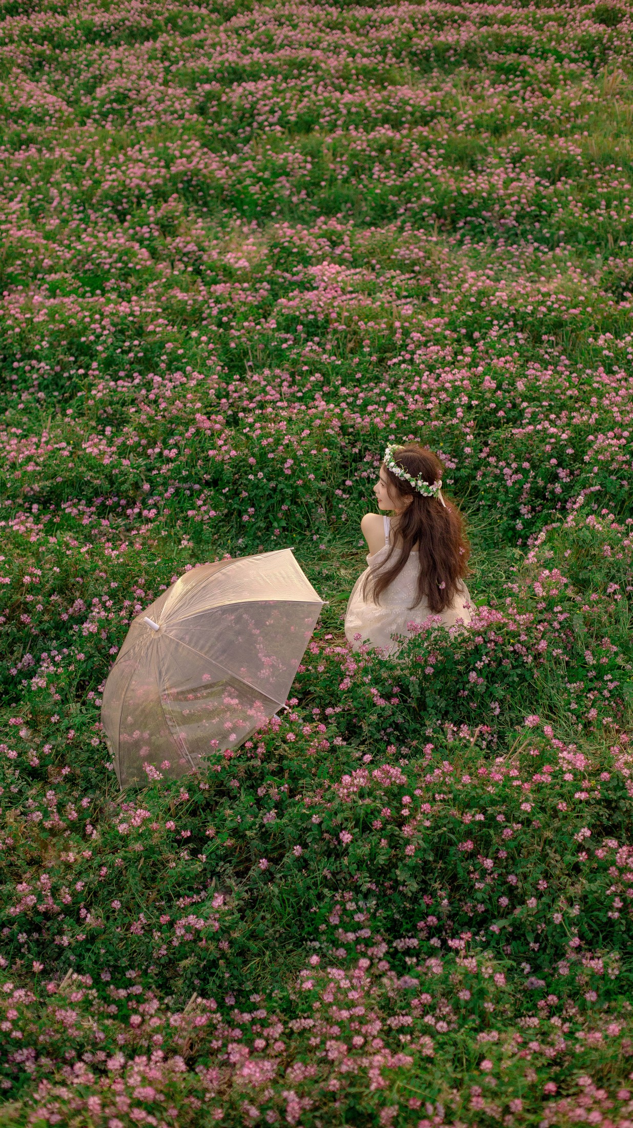 图片[6]-鱼七 – 《紫云英花甸》[26P]-COS写真在线网