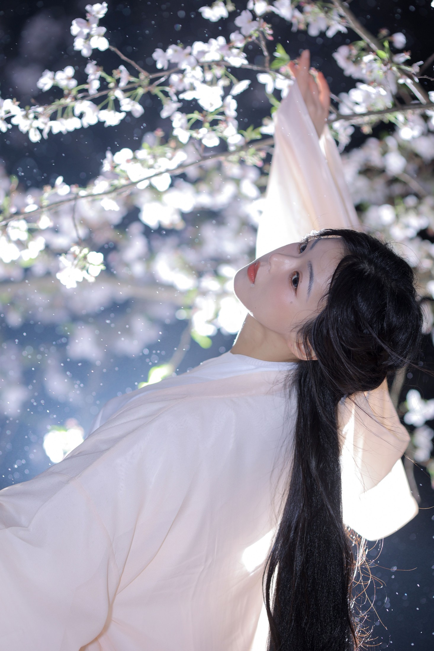 图片[4]-小羊 – 《夜樱》[23P]-COS写真在线网