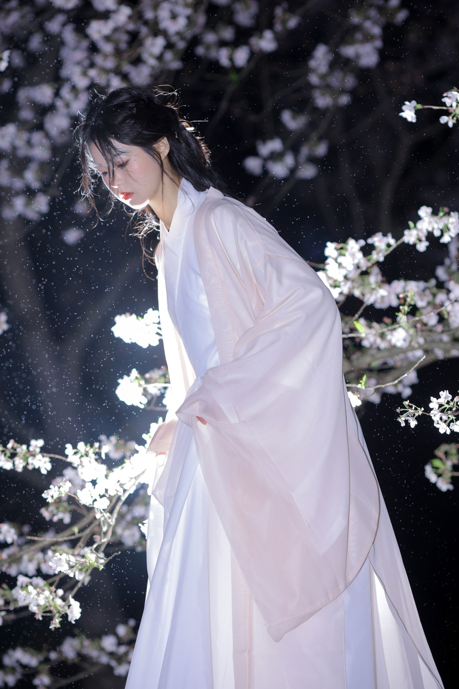 图片[6]-小羊 – 《夜樱》[23P]-COS写真在线网