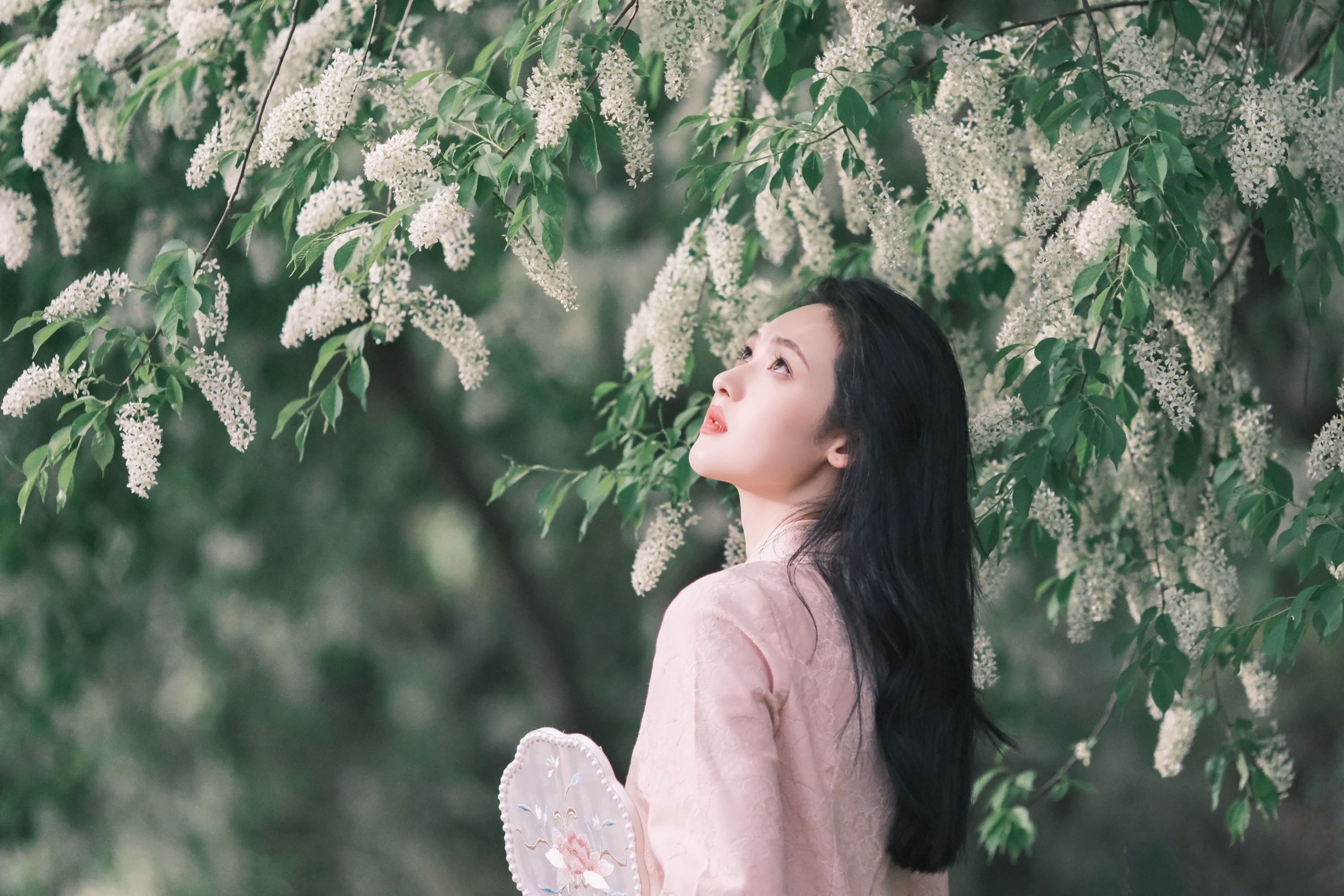 图片[6]-豌豆雀斑少女 – 《樱吹雪》[26P]-COS写真在线网