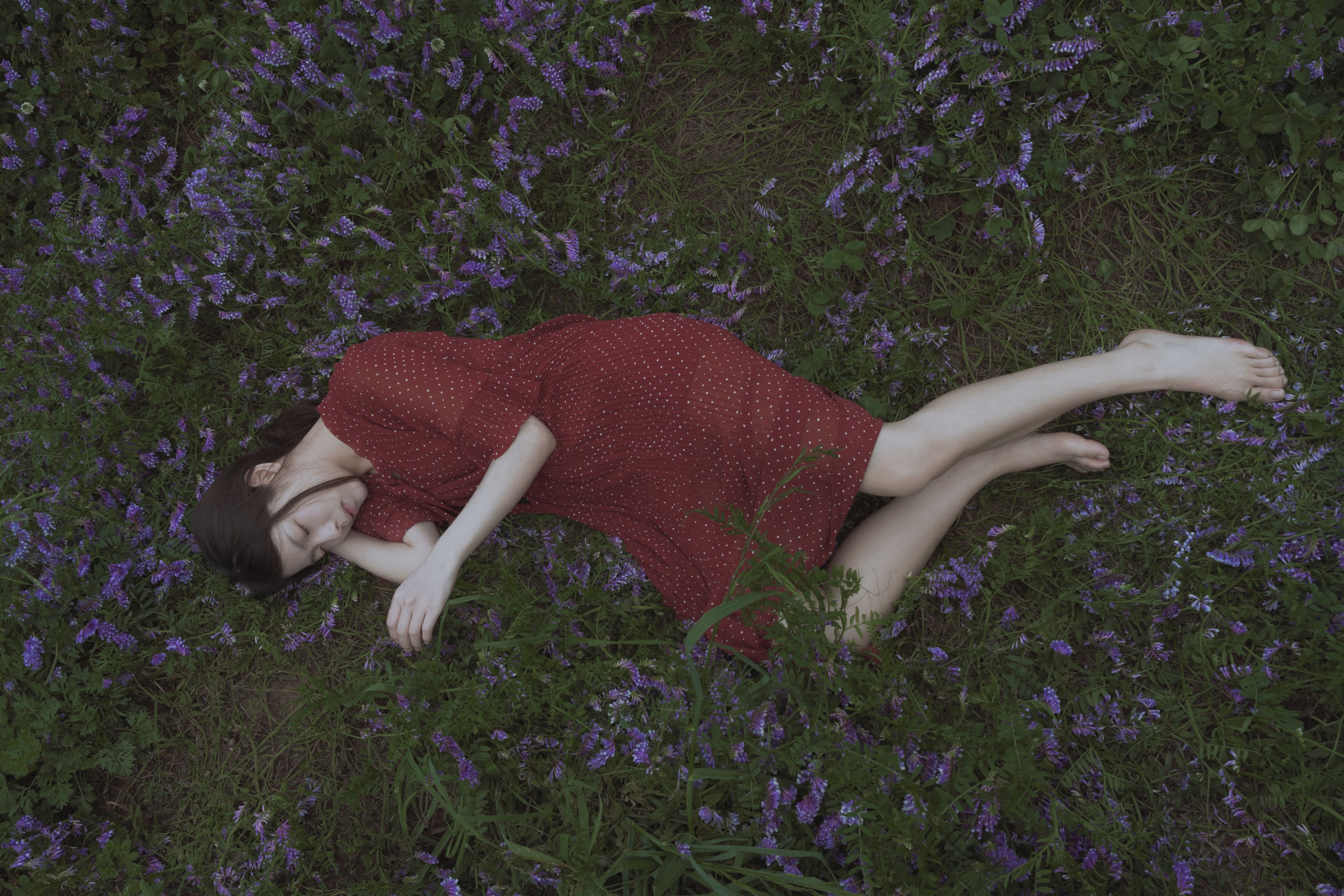 图片[6]-小叶 – 《春上花》[26P]-COS写真在线网