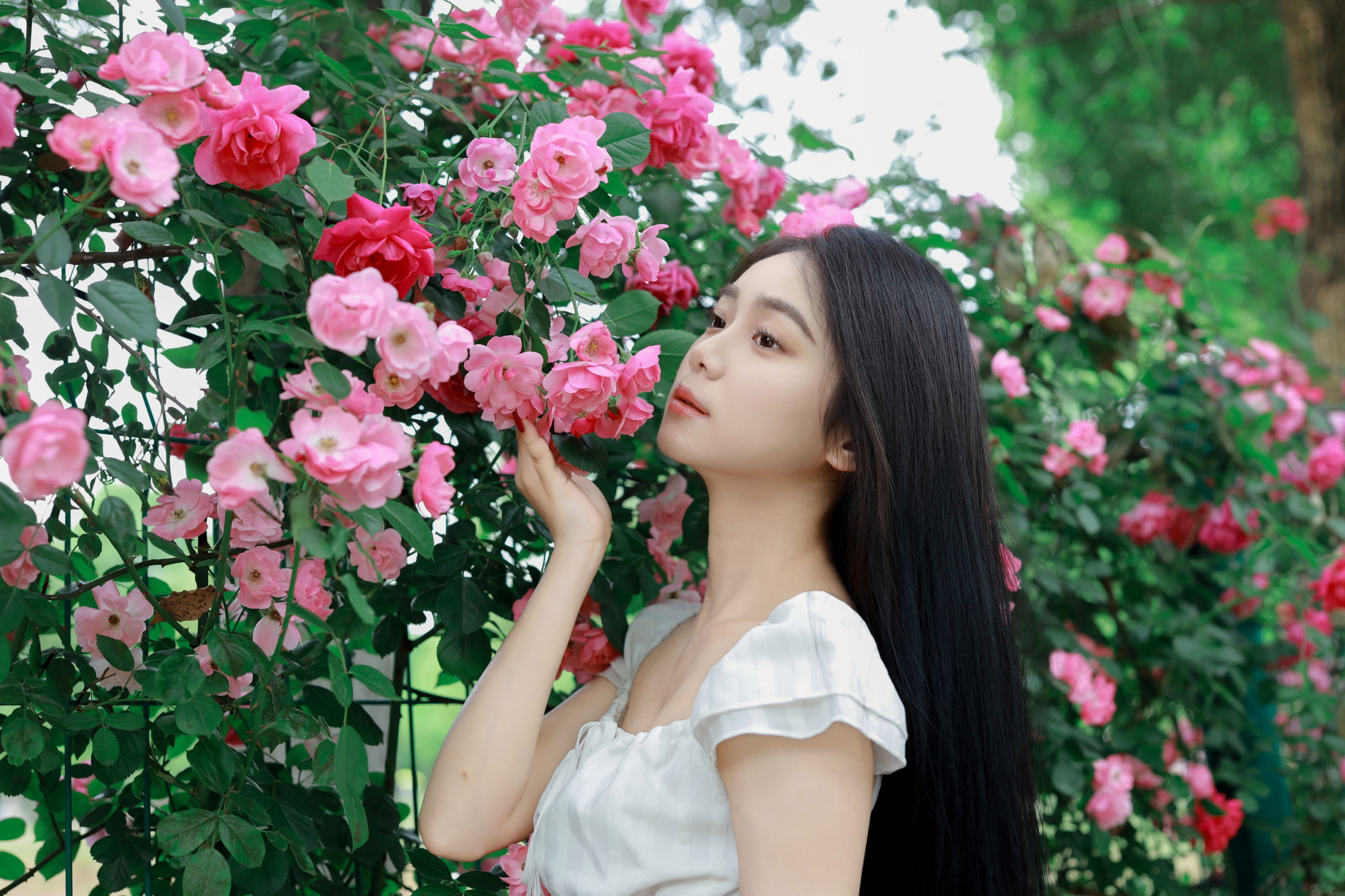 图片[6]-我不刷鸟 – 《花墙》[26P]-COS写真在线网