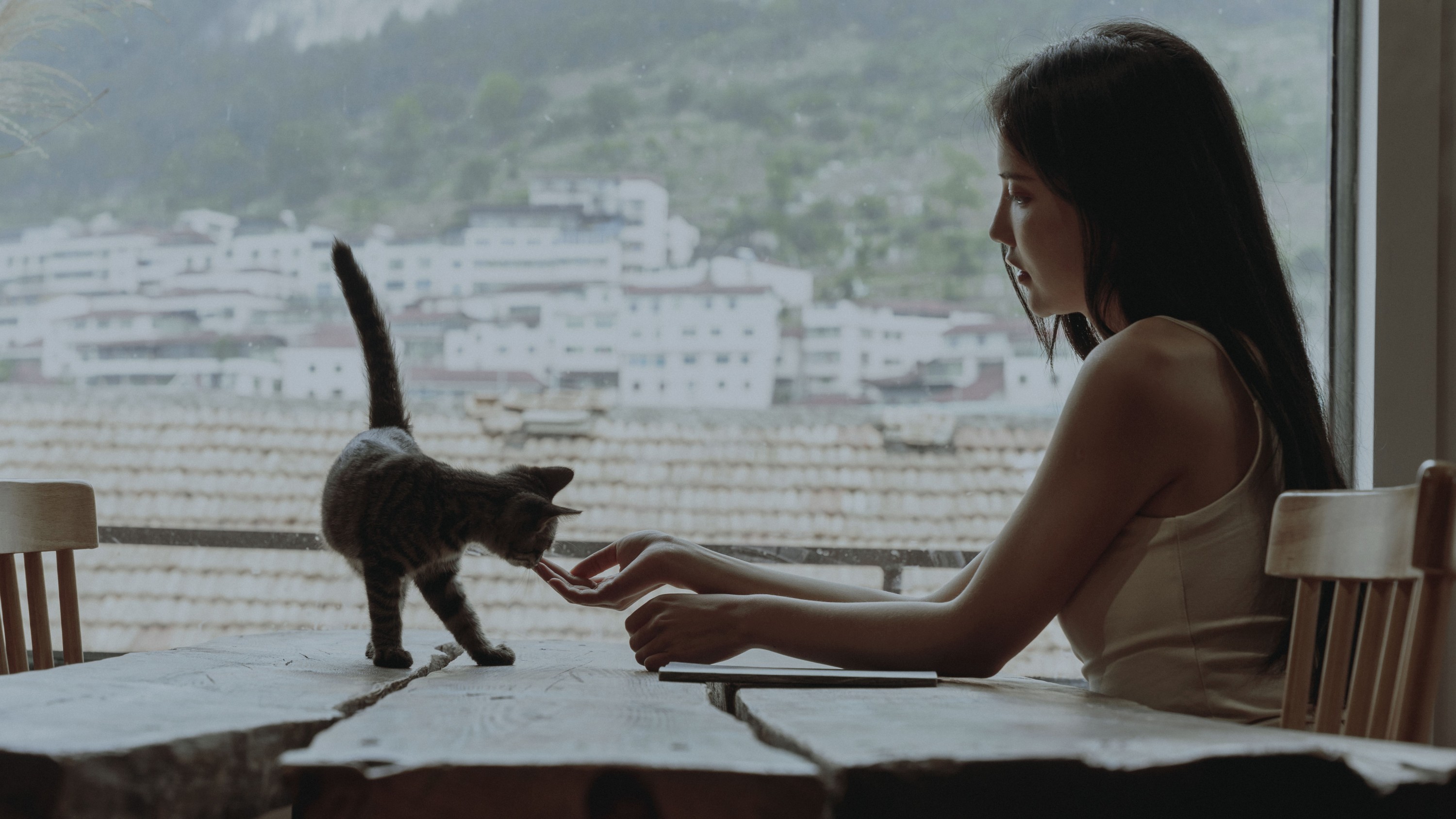 图片[29]-多米Domy – 《闻书阁》[31P]-COS写真在线网