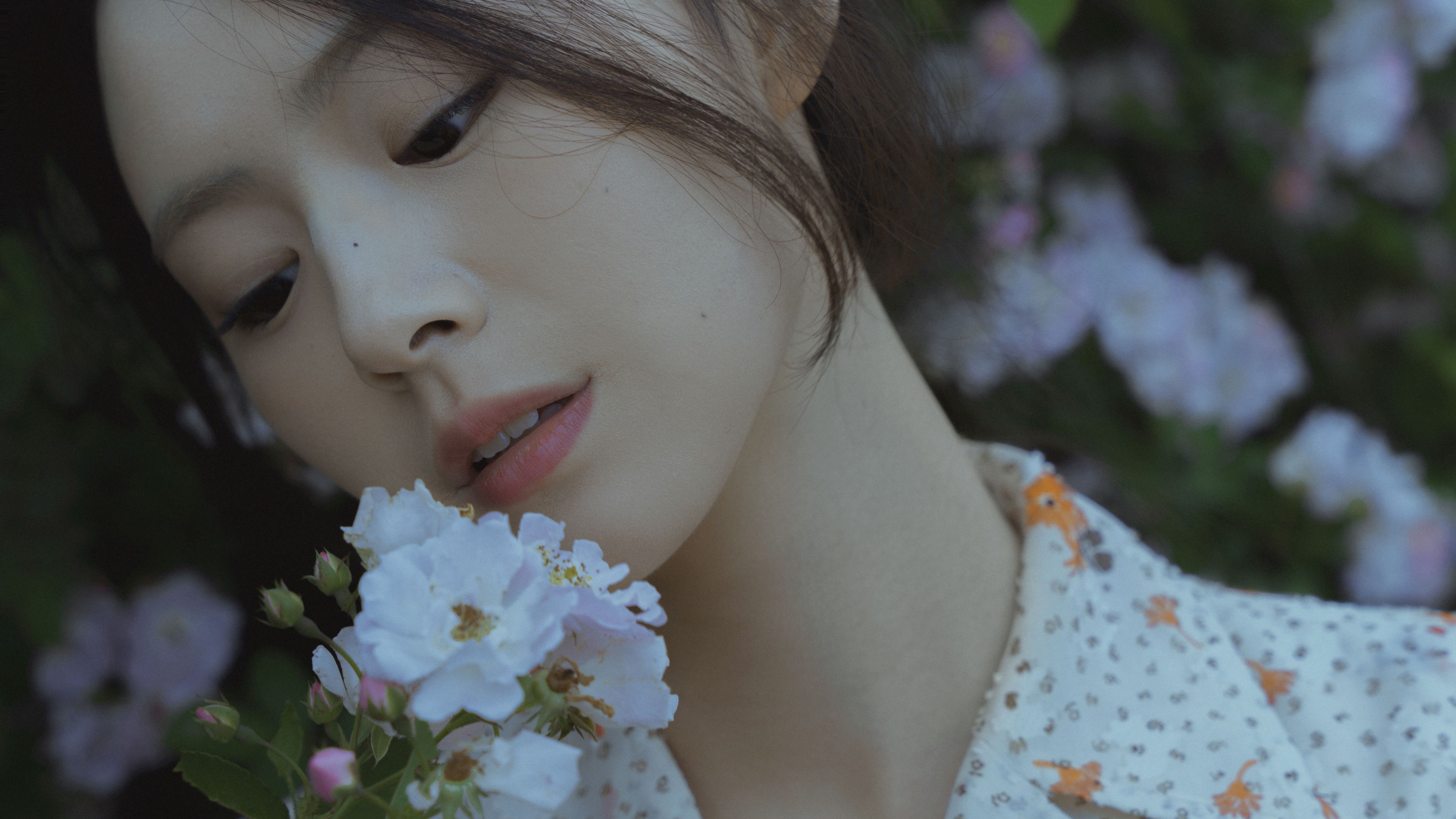 图片[6]-77 – 《春风吹散了蔷薇》[29P]-COS写真在线网