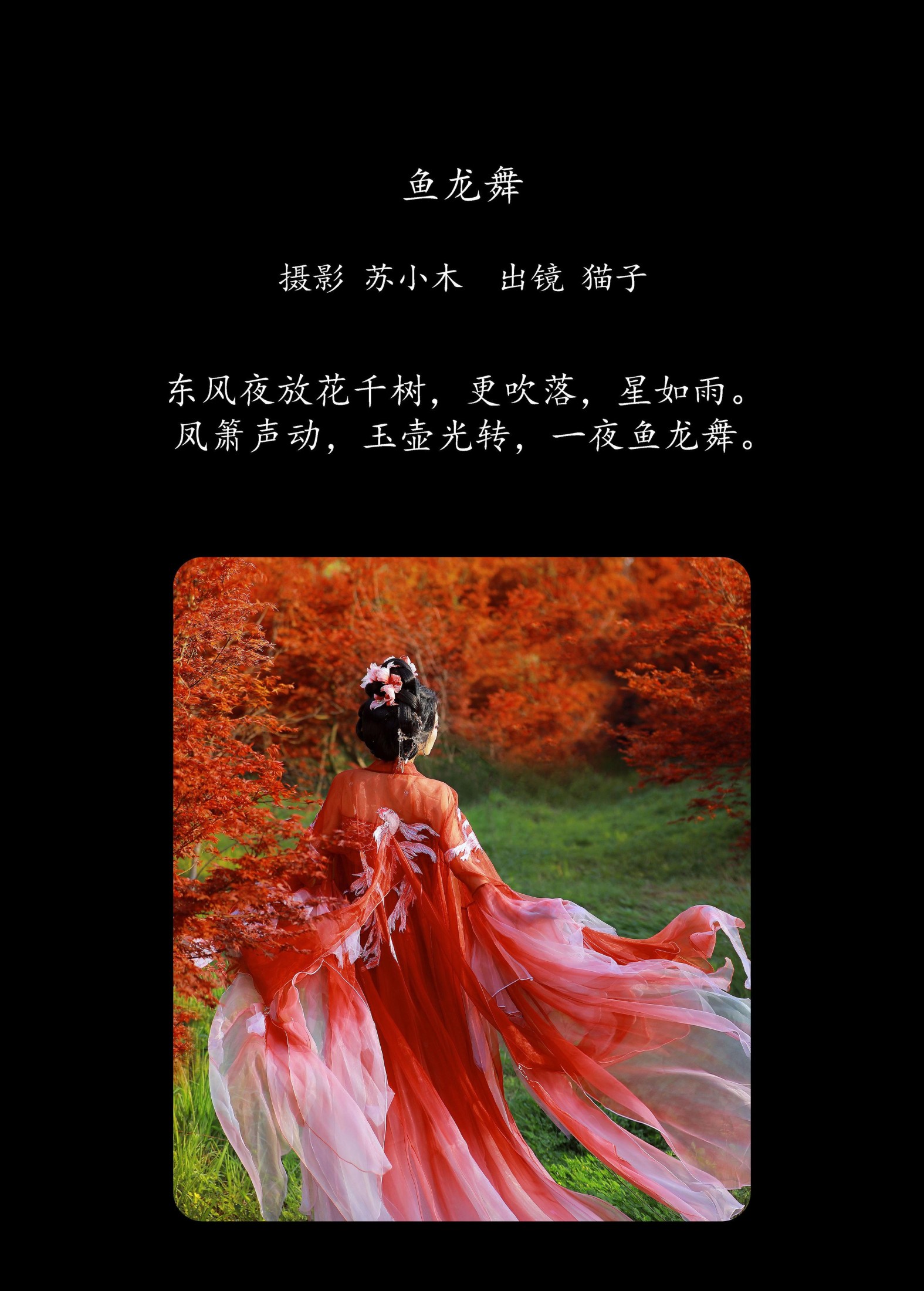 图片[2]-猫子子 – 《鱼龙舞》[24P]-COS写真在线网