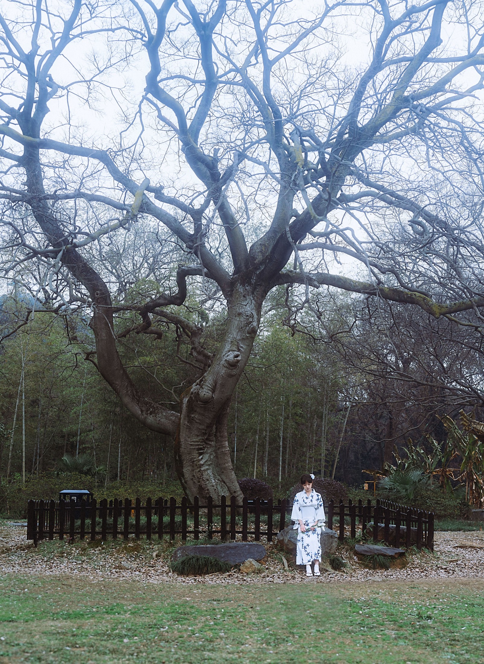 图片[6]-小羊 – 《等待枯树开出新的花》[23P]-COS写真在线网