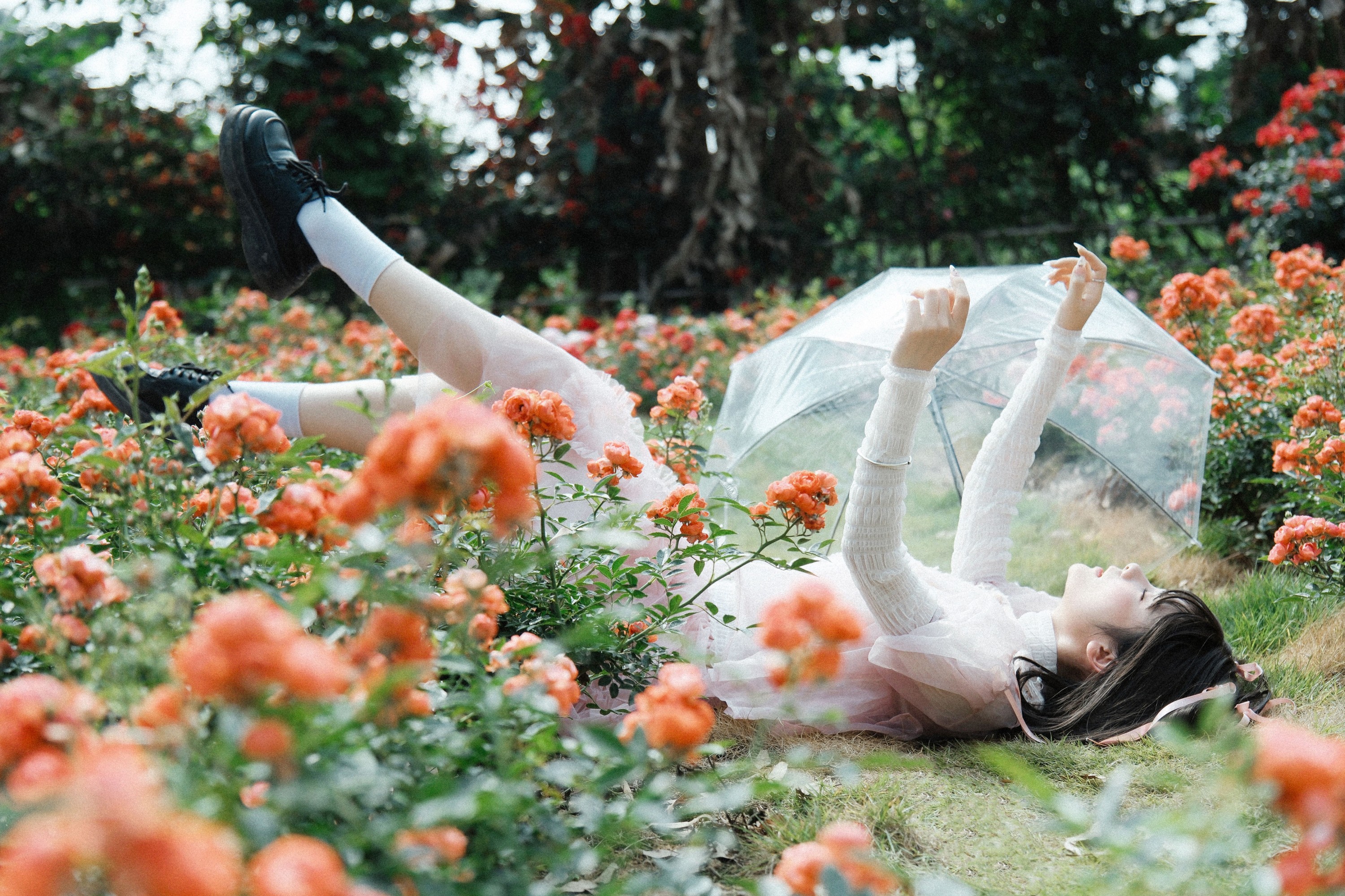 图片[6]-一枝沐瑶瑶 – 《蔷薇少女》[24P]-COS写真在线网