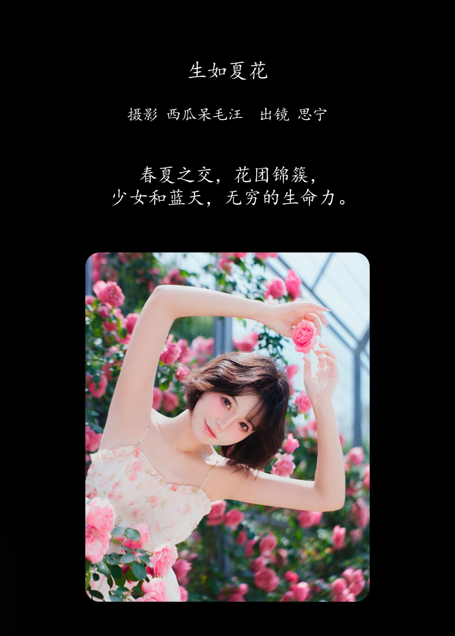 图片[2]-Disexi思宁 – 《生如夏花》[27P]-COS写真在线网