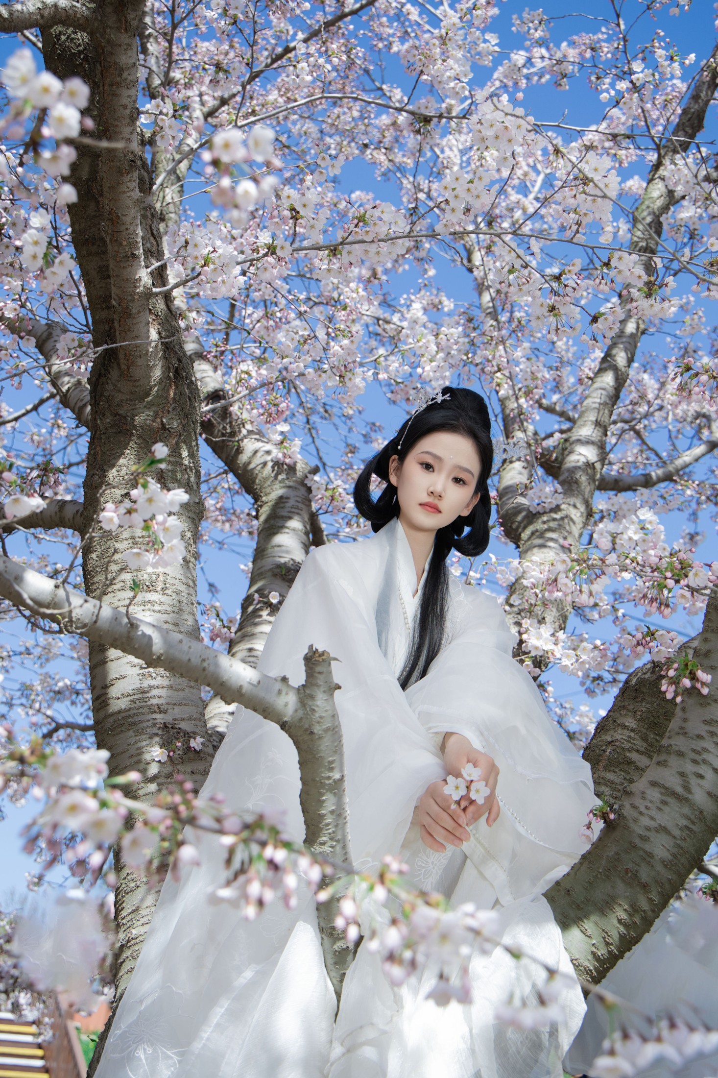 图片[6]-相望回首喵喵喵 – 《白衣花神》[22P]-COS写真在线网