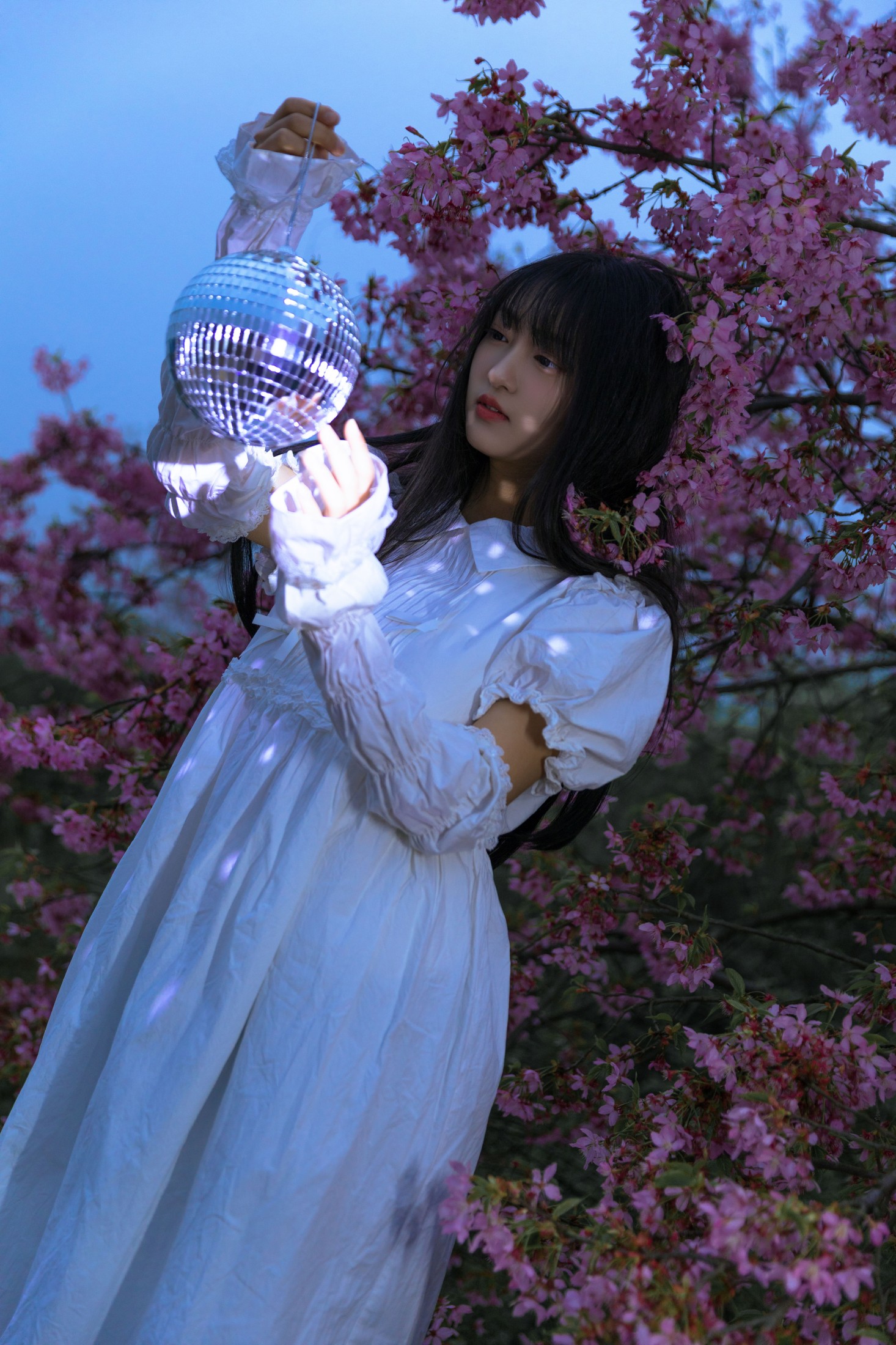 图片[5]-冷酷王爷 – 《夜樱》[30P]-COS写真在线网
