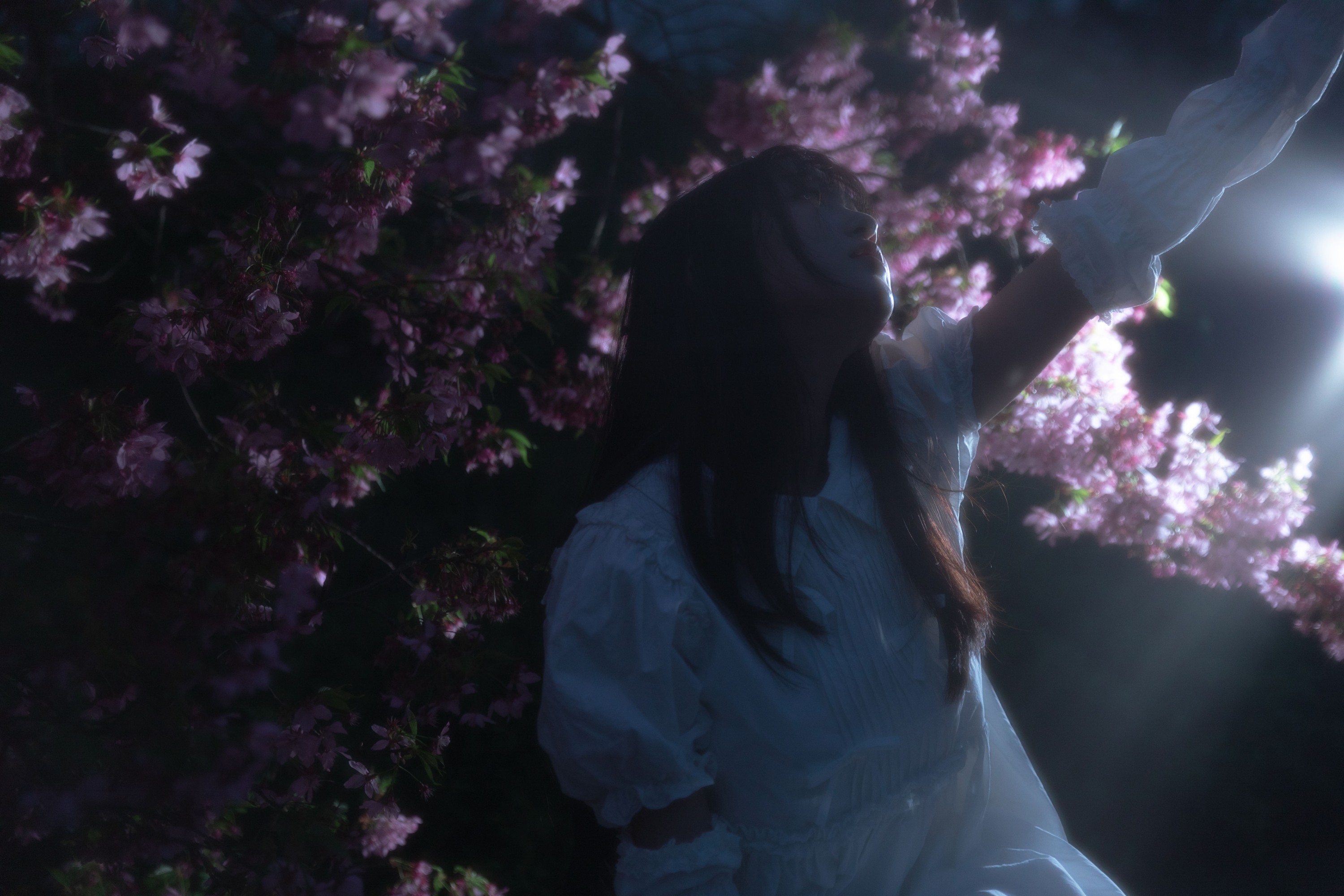 图片[6]-冷酷王爷 – 《夜樱》[30P]-COS写真在线网