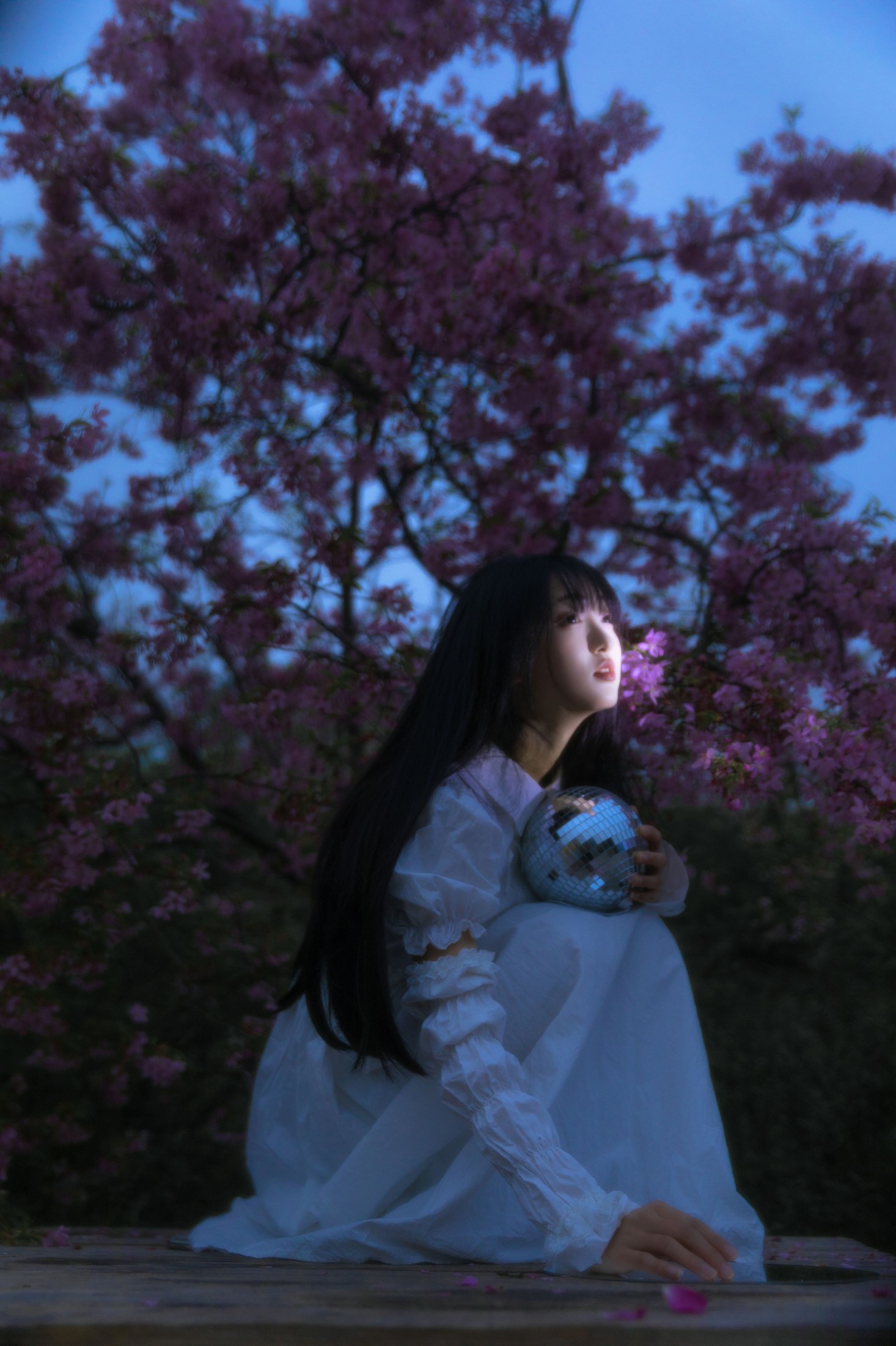 图片[3]-冷酷王爷 – 《夜樱》[30P]-COS写真在线网