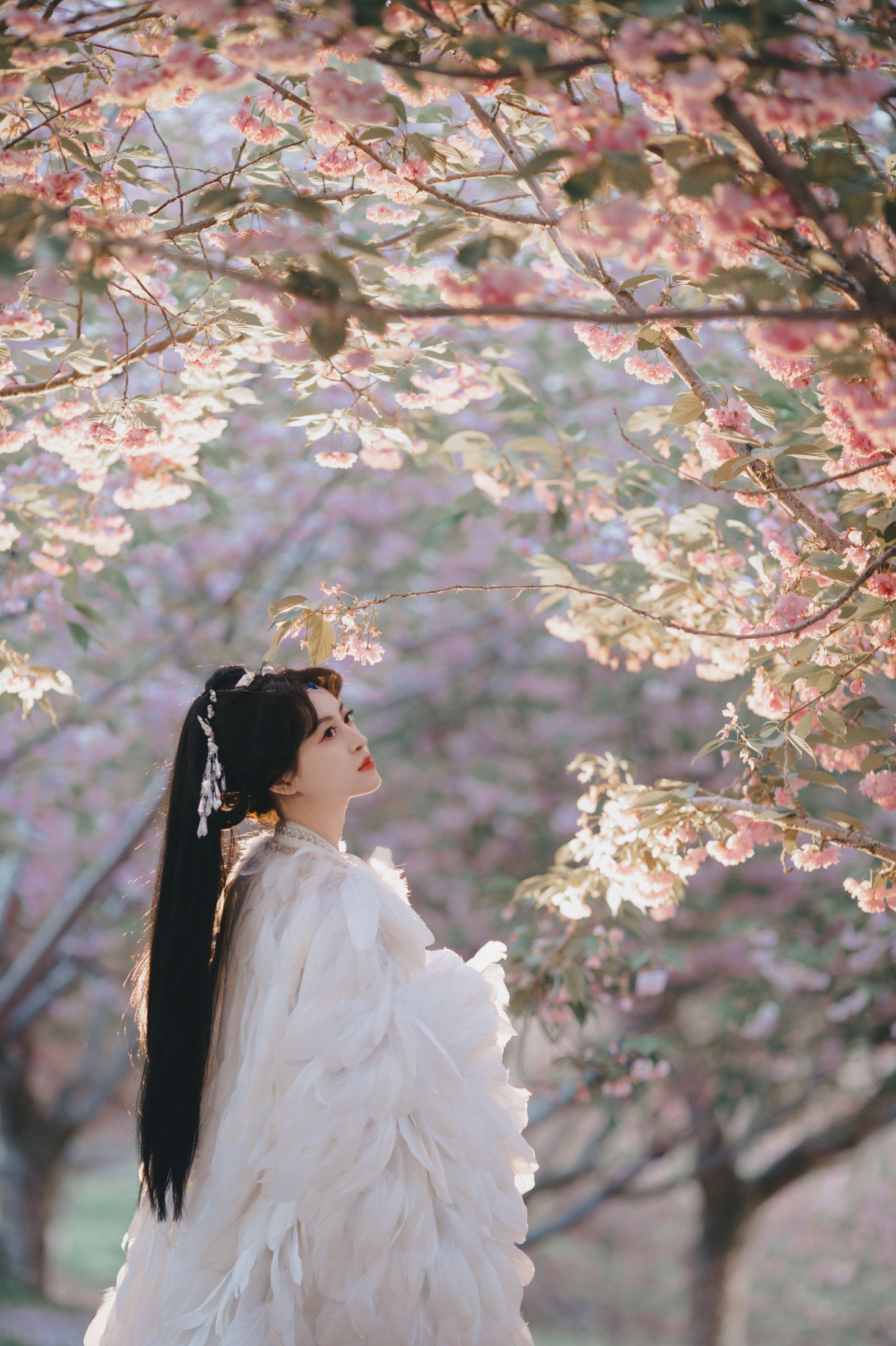 图片[6]-壹萱- – 《白凤》[36P]-COS写真在线网