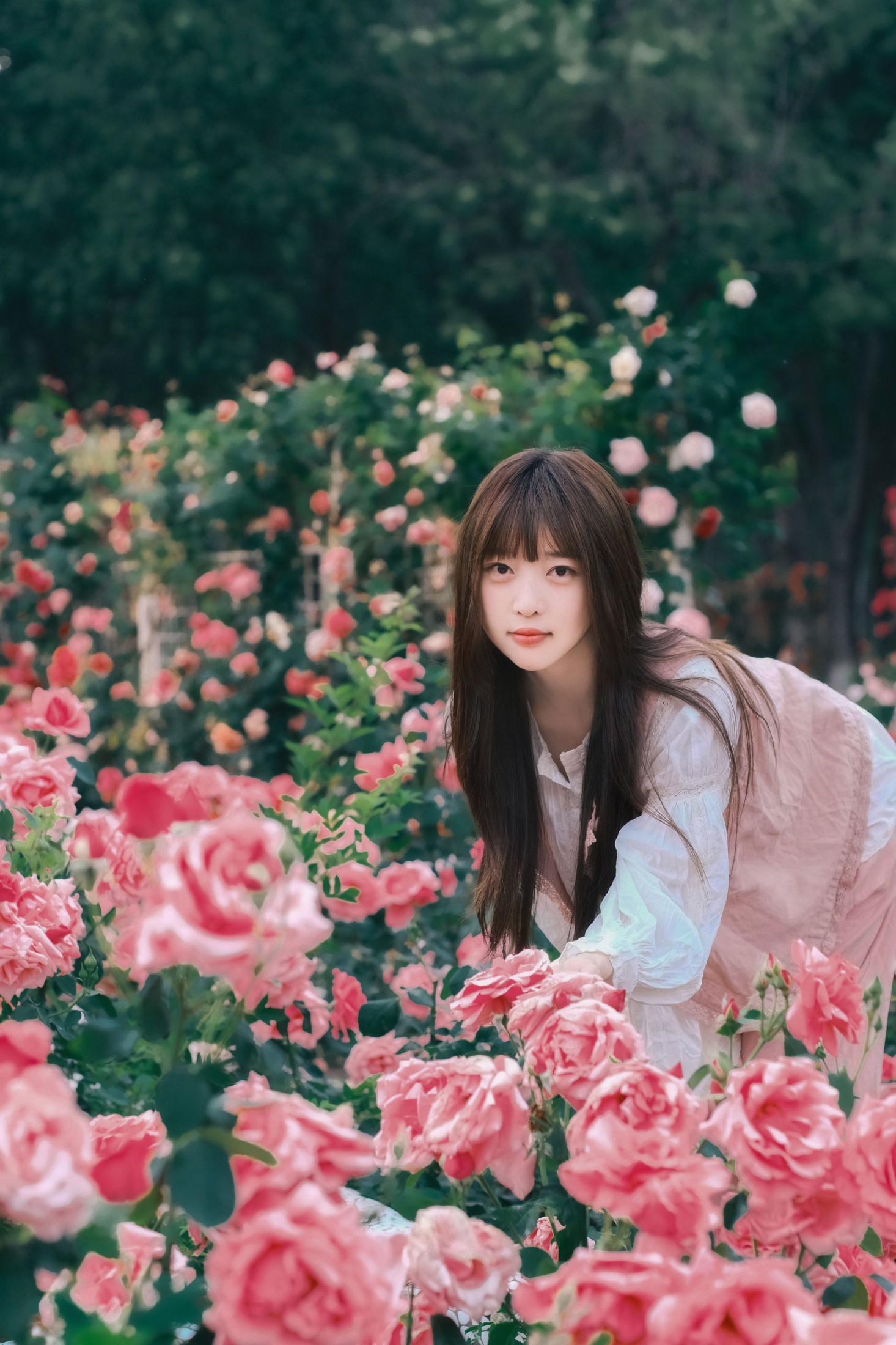 图片[6]-Sweet_t田甜 – 《不止玫瑰有爱意》[22P]-COS写真在线网