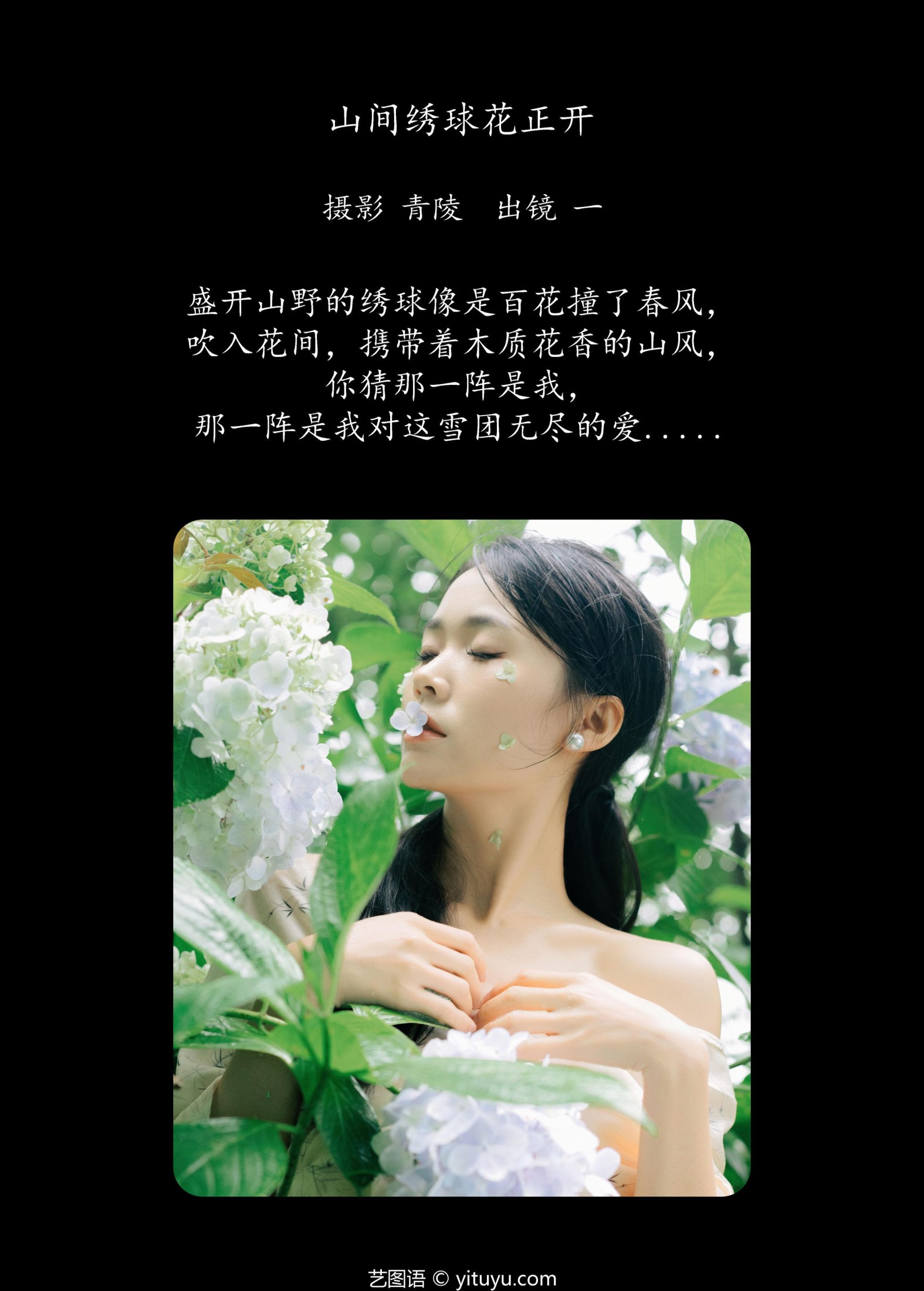 图片[2]-一 – 《山间绣球花正开》[26P]-COS写真在线网