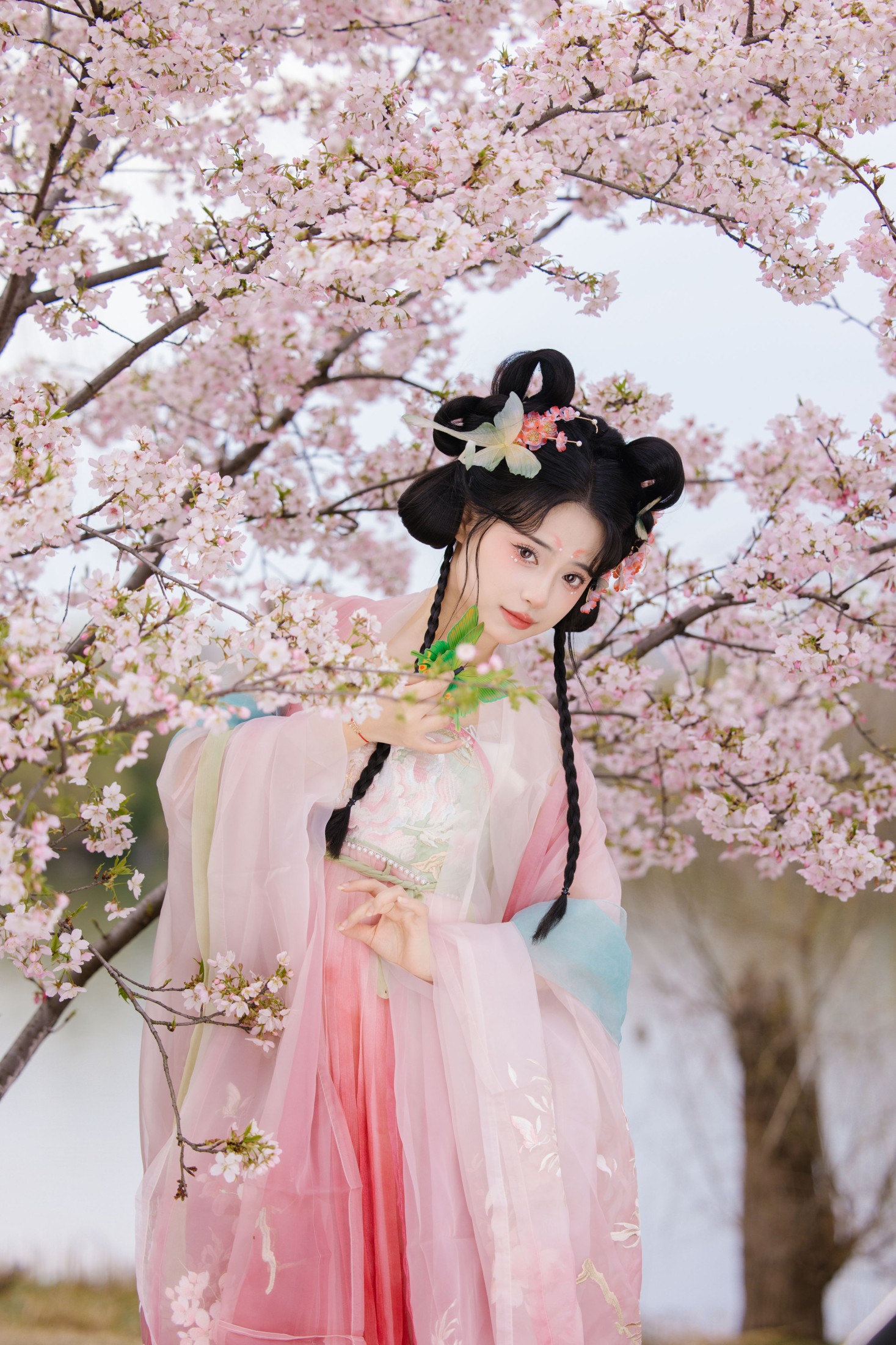 图片[3]-衔鹿 – 《赏樱》[30P]-COS写真在线网