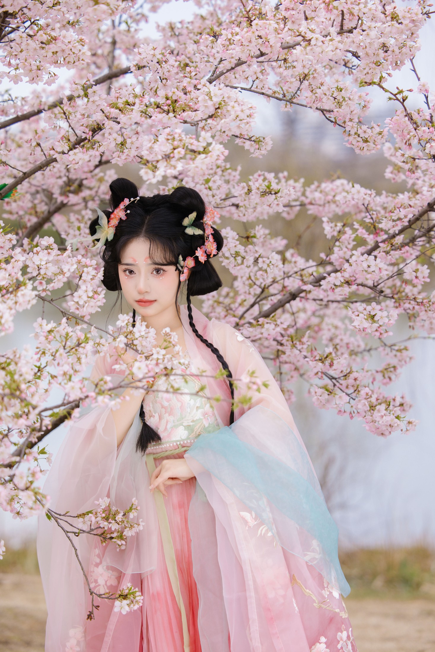 图片[6]-衔鹿 – 《赏樱》[30P]-COS写真在线网