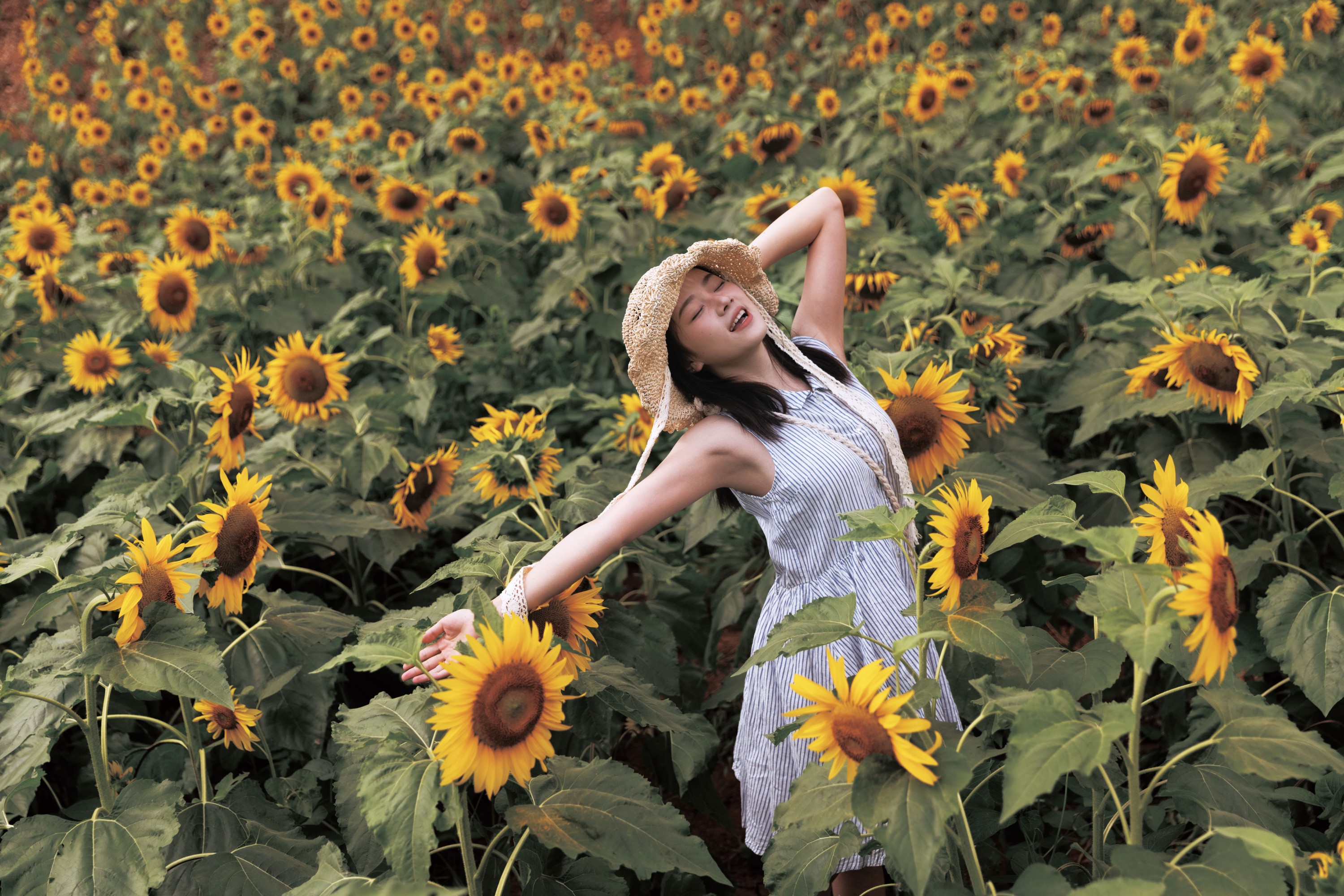 图片[6]-To小北 – 《向日葵》[26P]-COS写真在线网