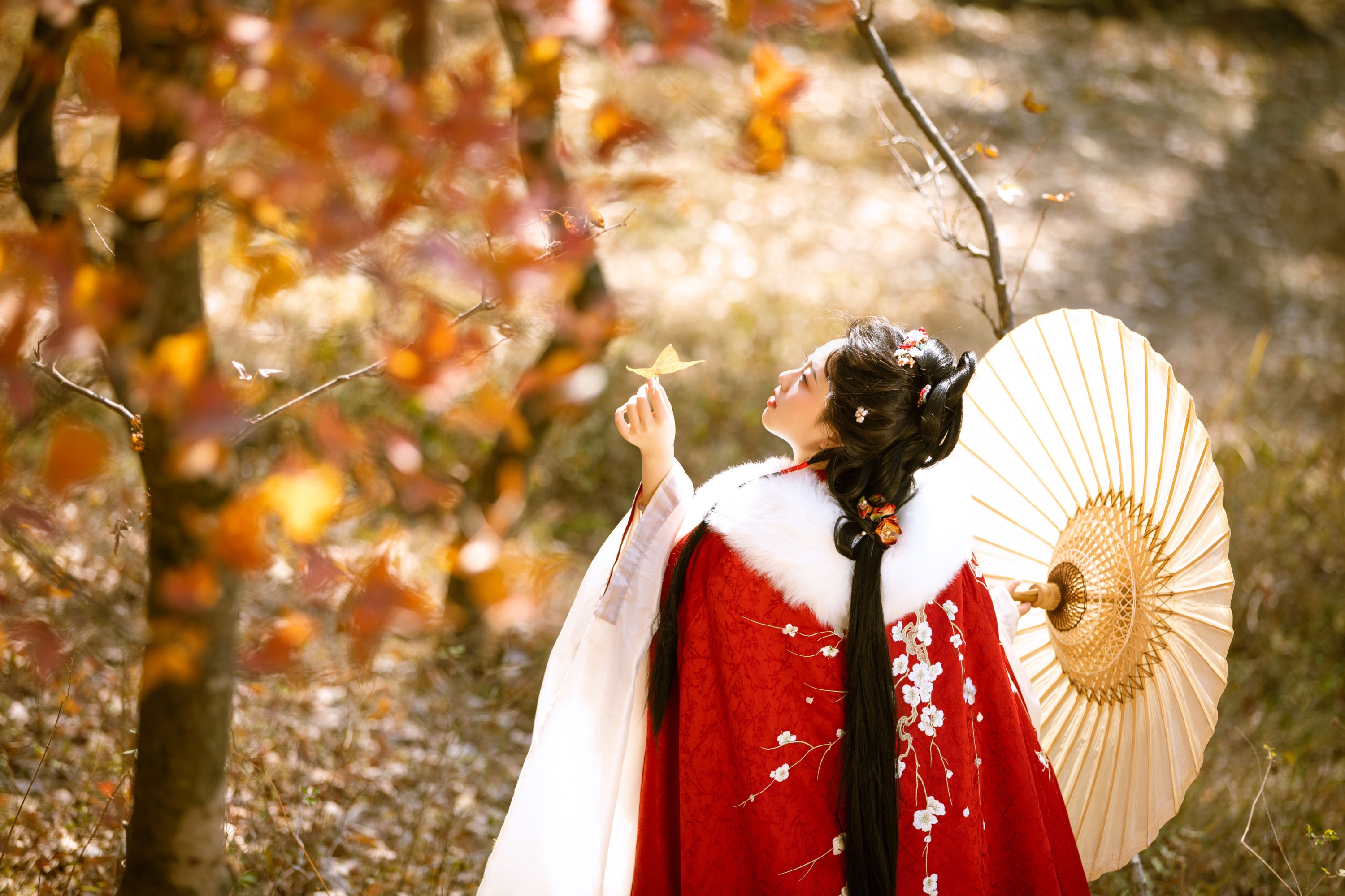 图片[6]-谨陬捌 – 《满阶红叶》[26P]-COS写真在线网