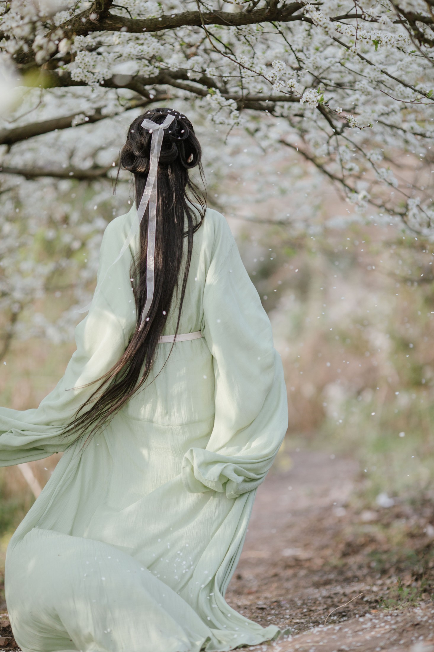 图片[6]-绮罗生的小苏苏 – 《杏花吹满头》[18P]-COS写真在线网