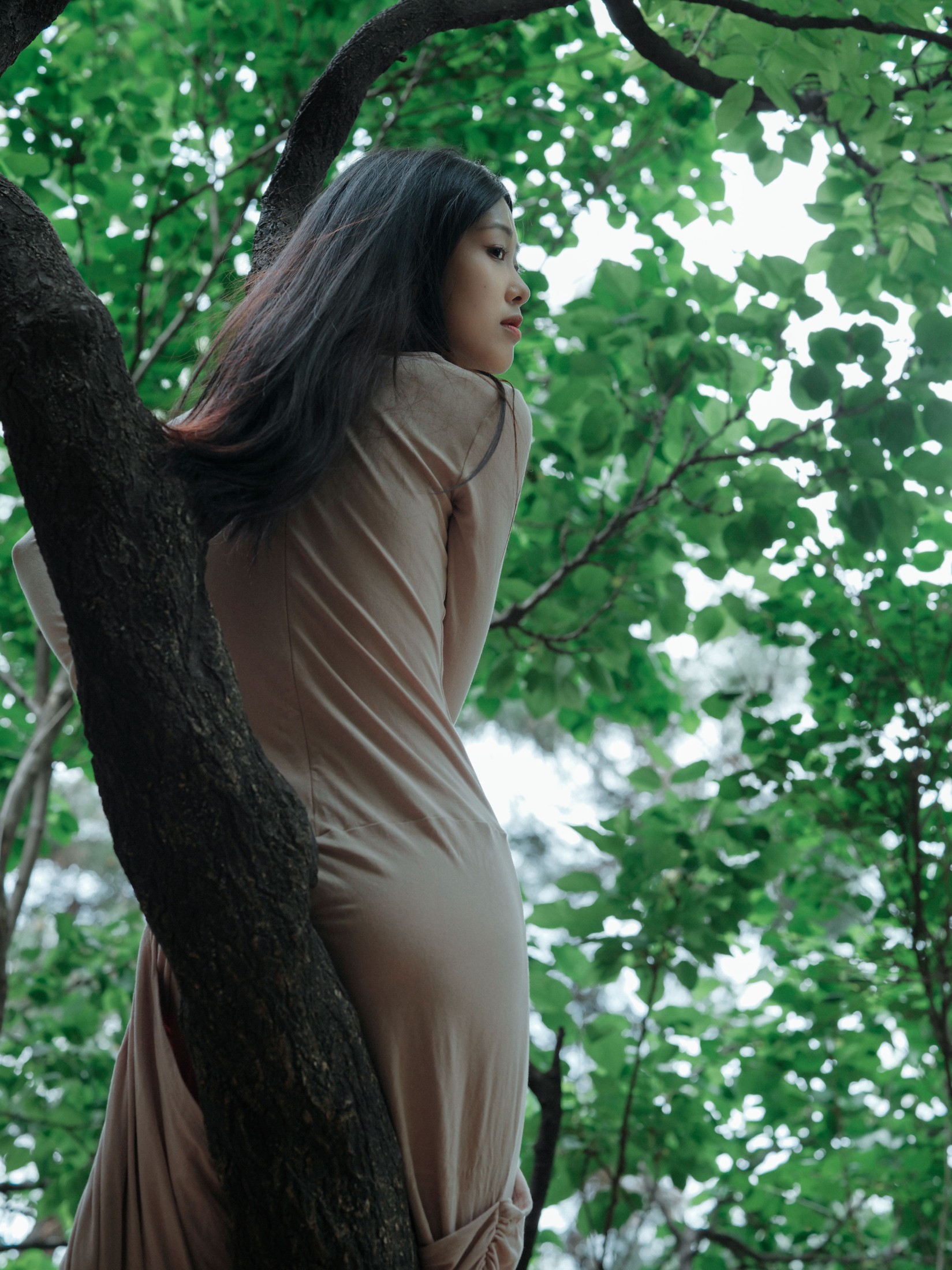 图片[6]-钰清风 – 《葳蕤》[24P]-COS写真在线网