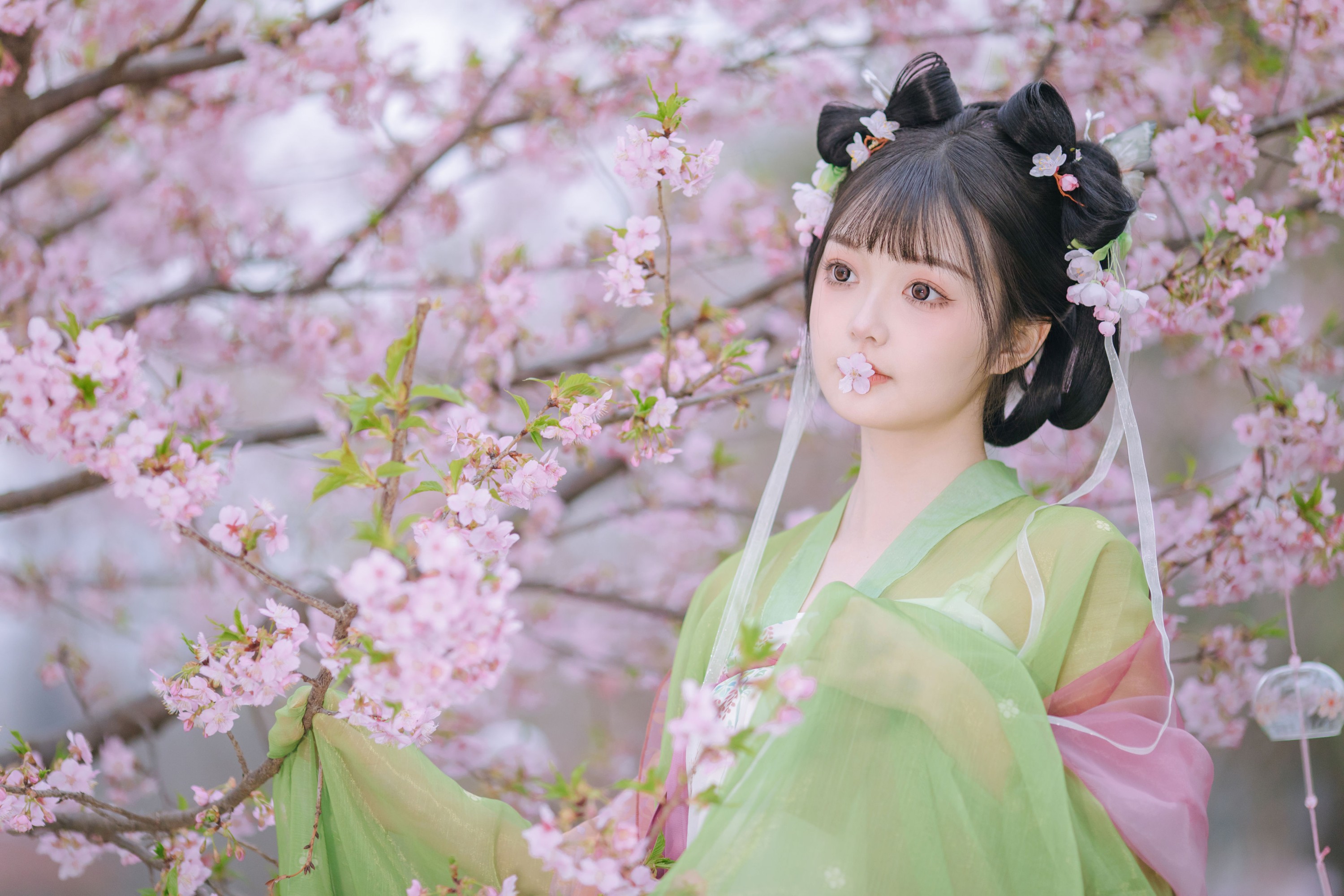 百狸 – 《春知晓》[18P] 插图1
