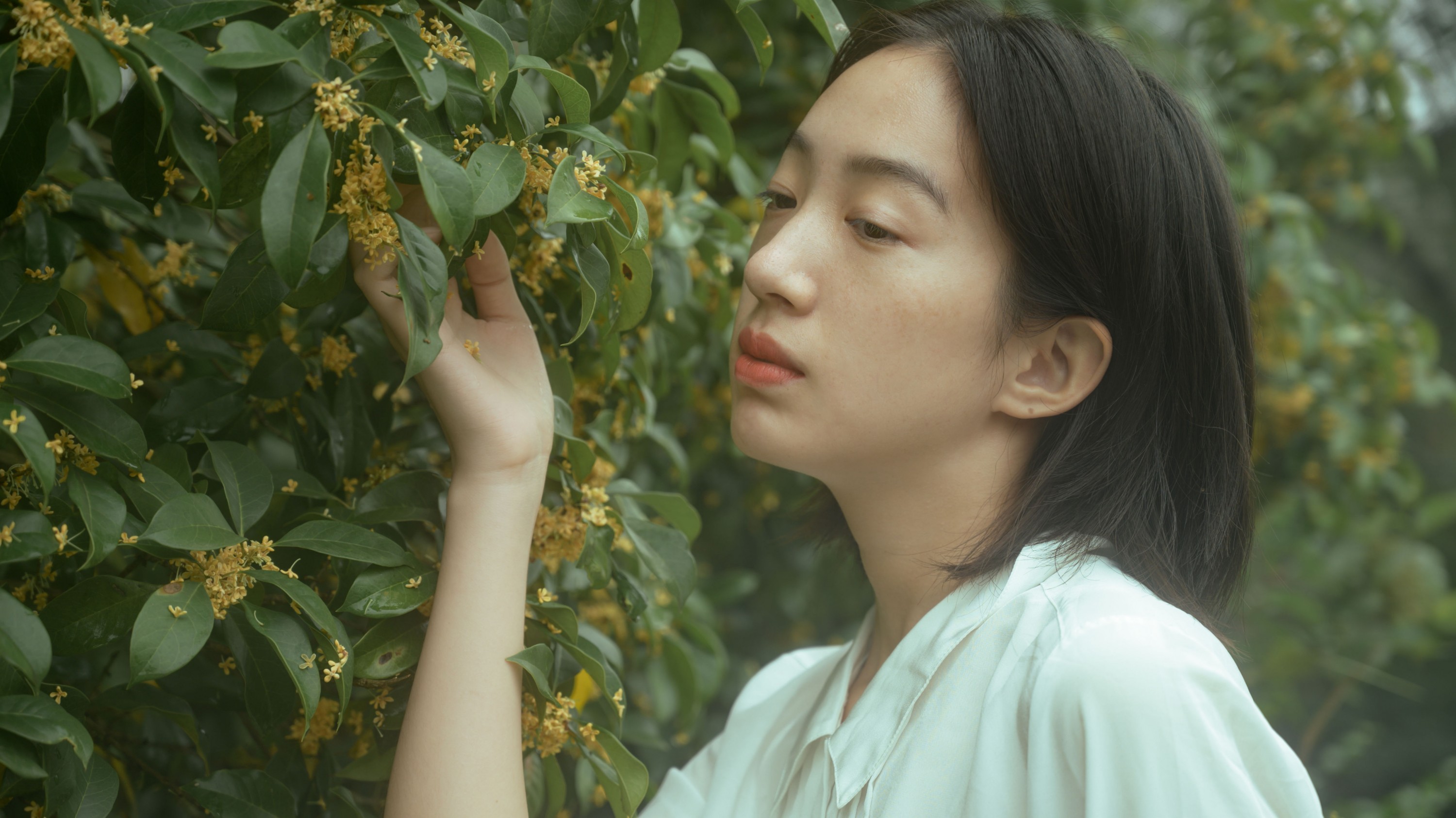 子芸 – 《麦田晨雾》[26P]-COS写真在线网