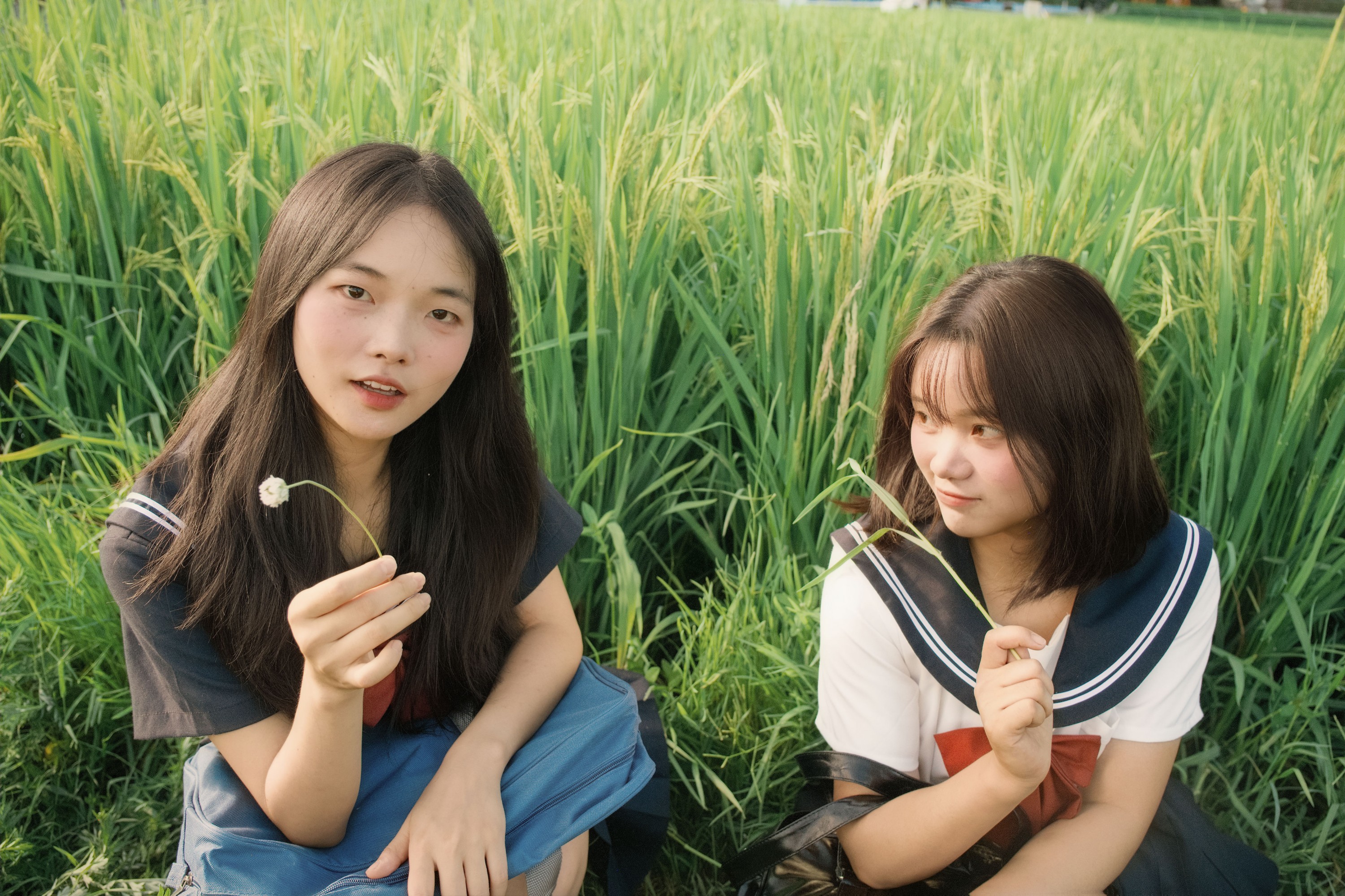 图片[3]-十一～ 幸运汤圆 – 《稻香》[40P]-COS写真在线网
