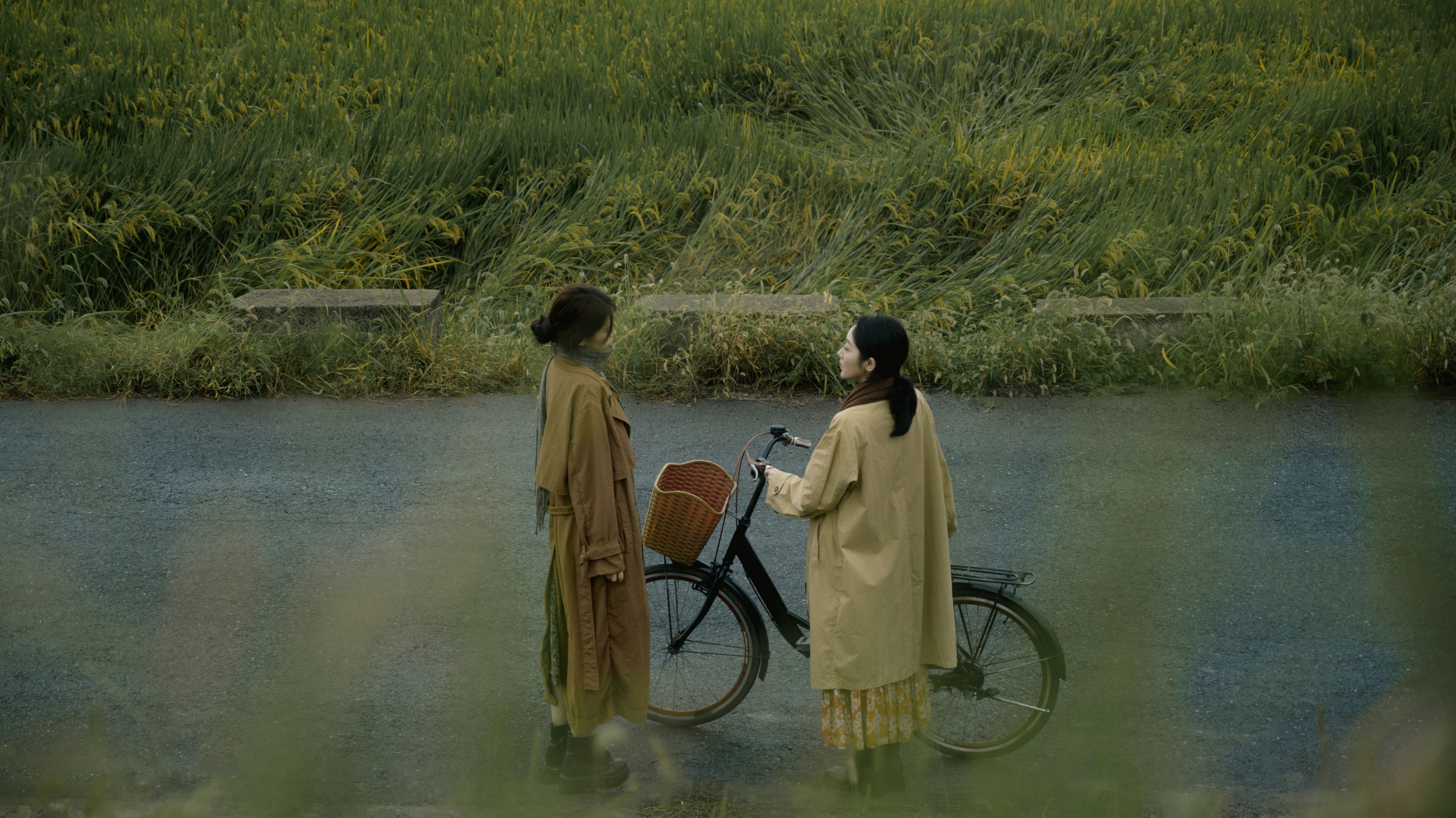 图片[4]-– 《带我走吧》[25P]-COS写真在线网