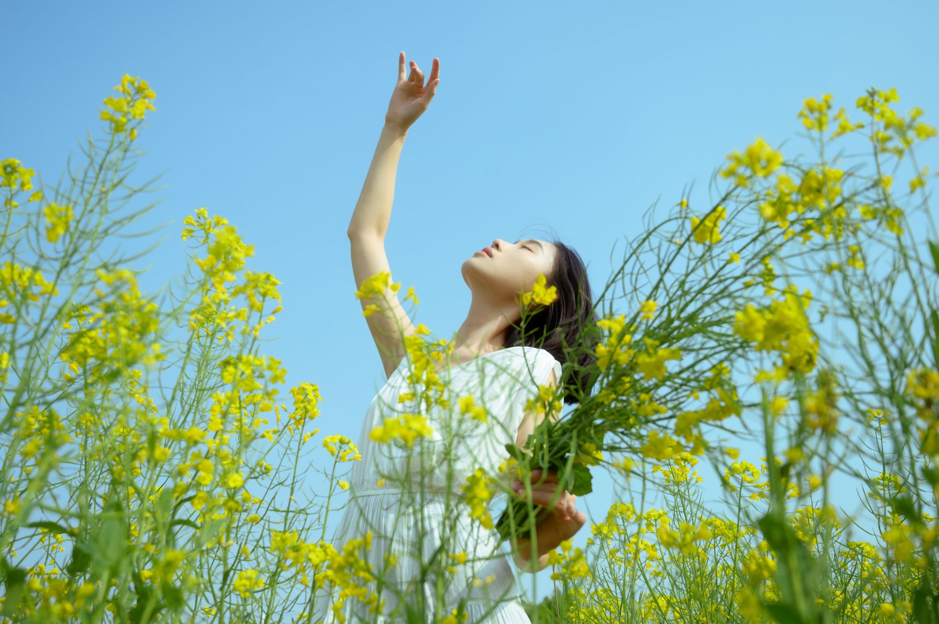 图片[3]-心洁 – 《蝴蝶与油菜花》[32P]-COS写真在线网