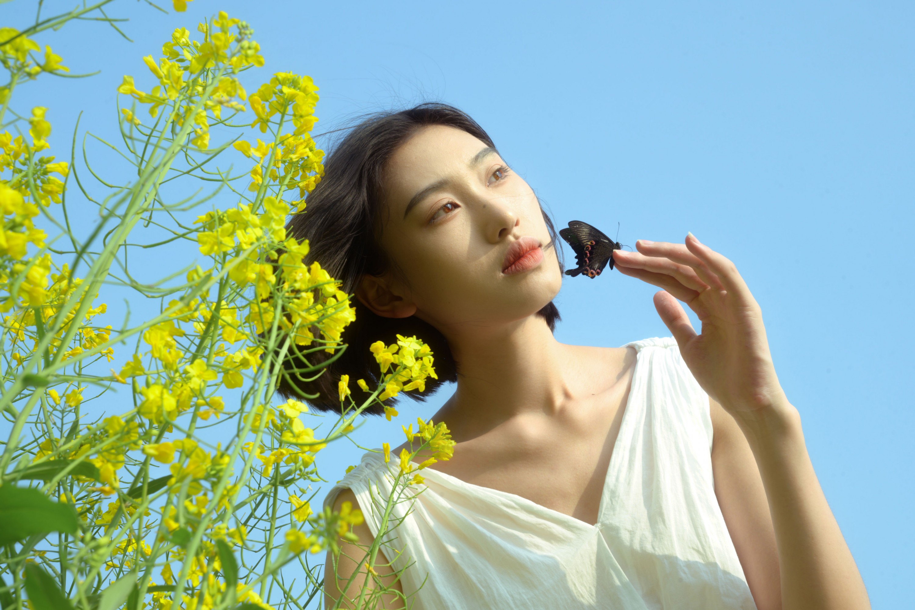 图片[5]-心洁 – 《蝴蝶与油菜花》[32P]-COS写真在线网