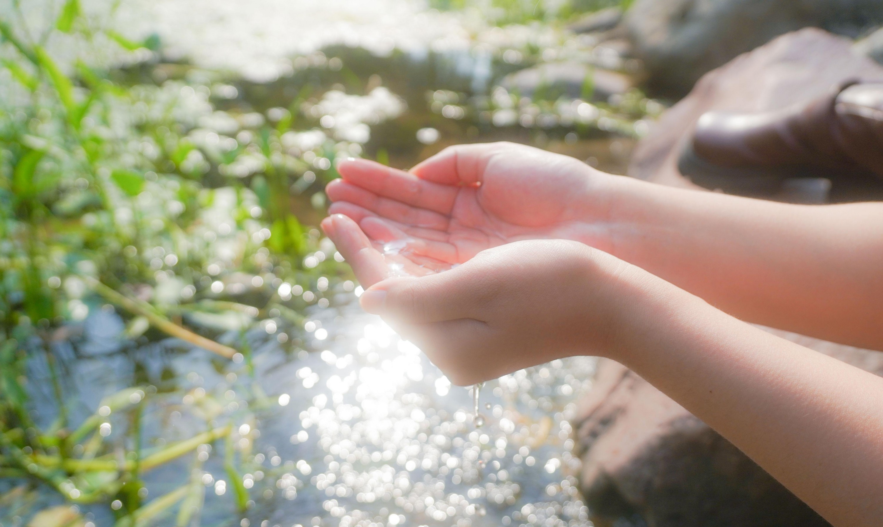 图片[2]-– 《葬送的芙莉莲》[12P]-COS写真在线网