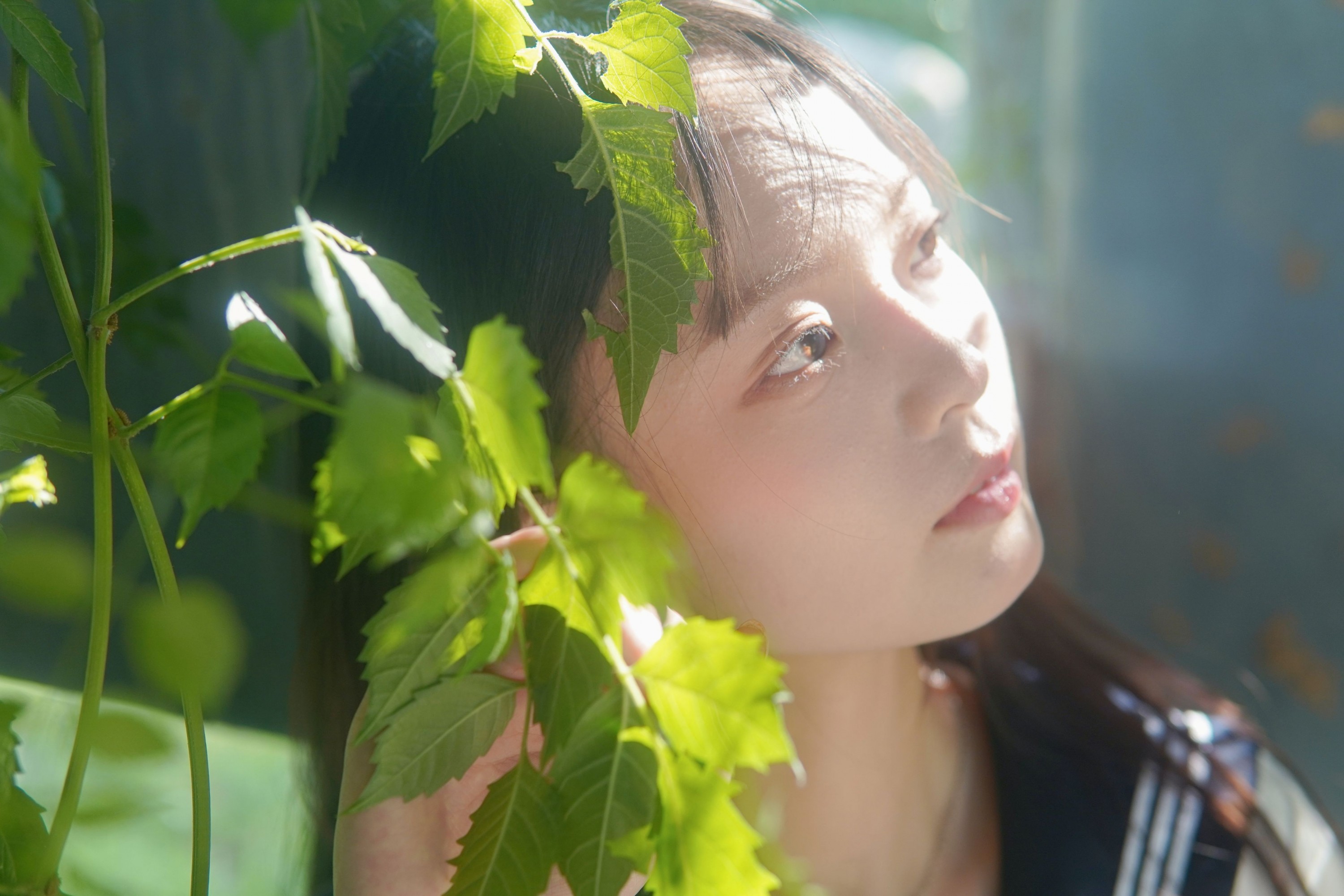 – 《凌霄花开》[12P]-COS写真在线网