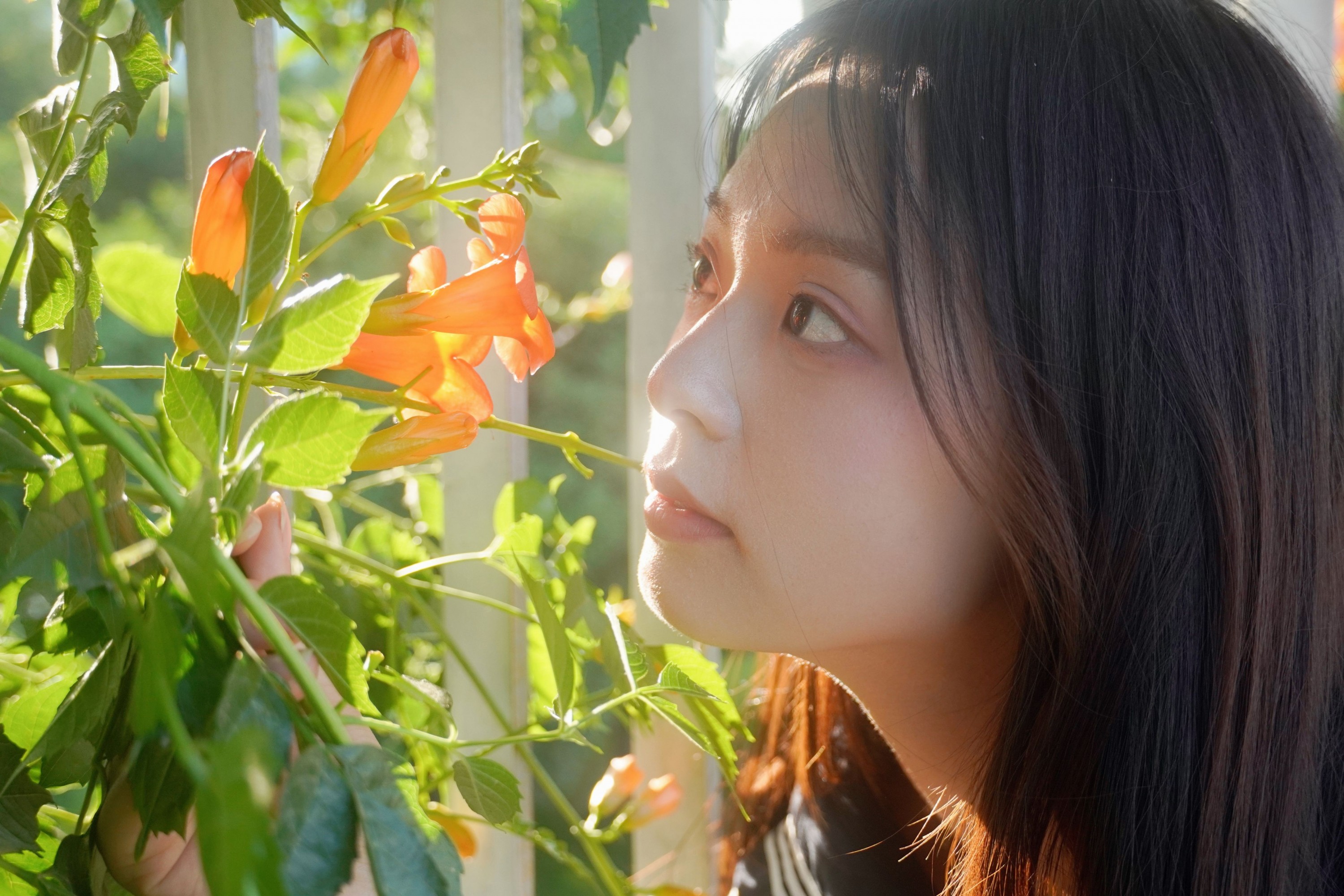 图片[5]-– 《凌霄花开》[12P]-COS写真在线网