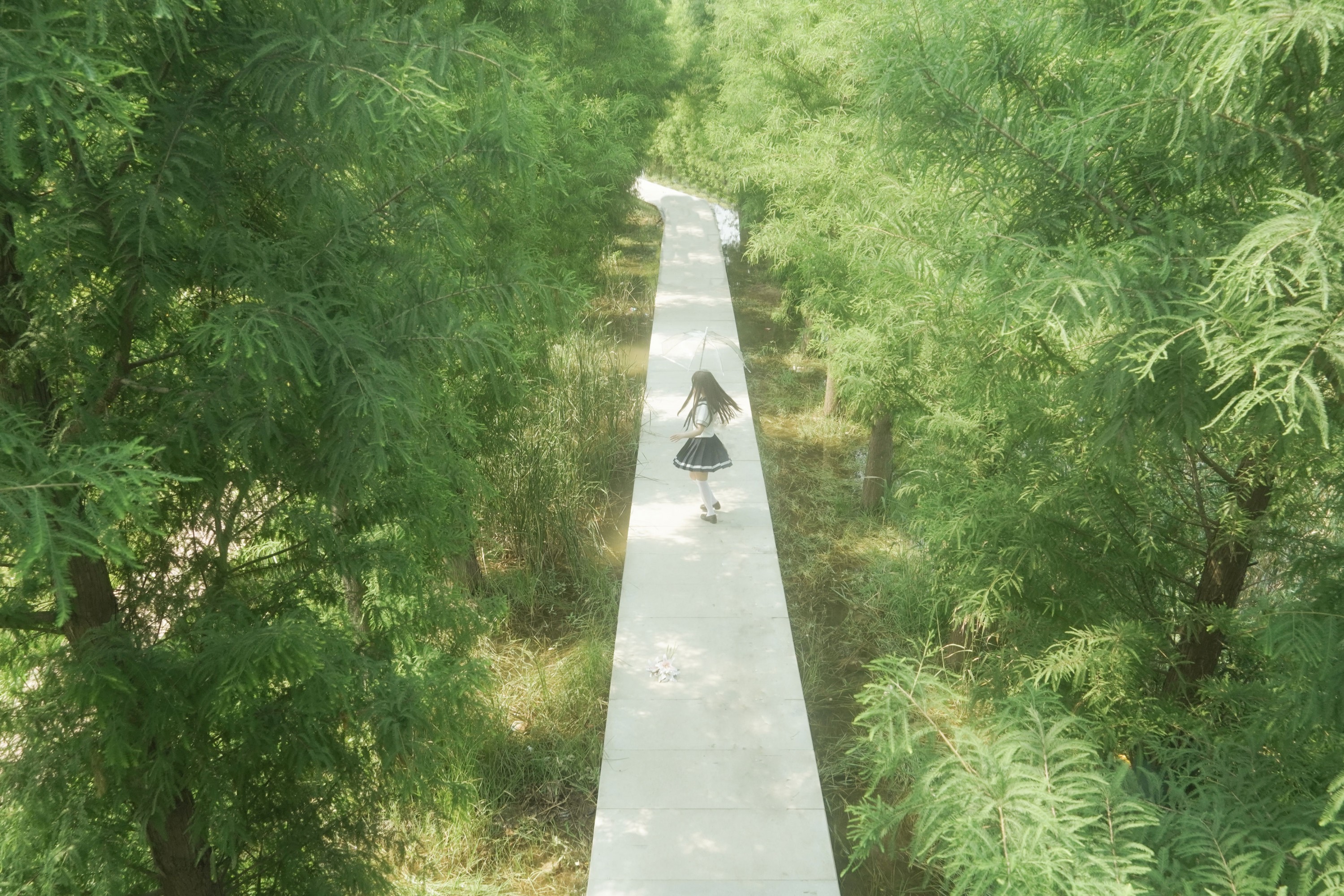 图片[3]-– 《树是另一种形式的海》[11P]-COS写真在线网