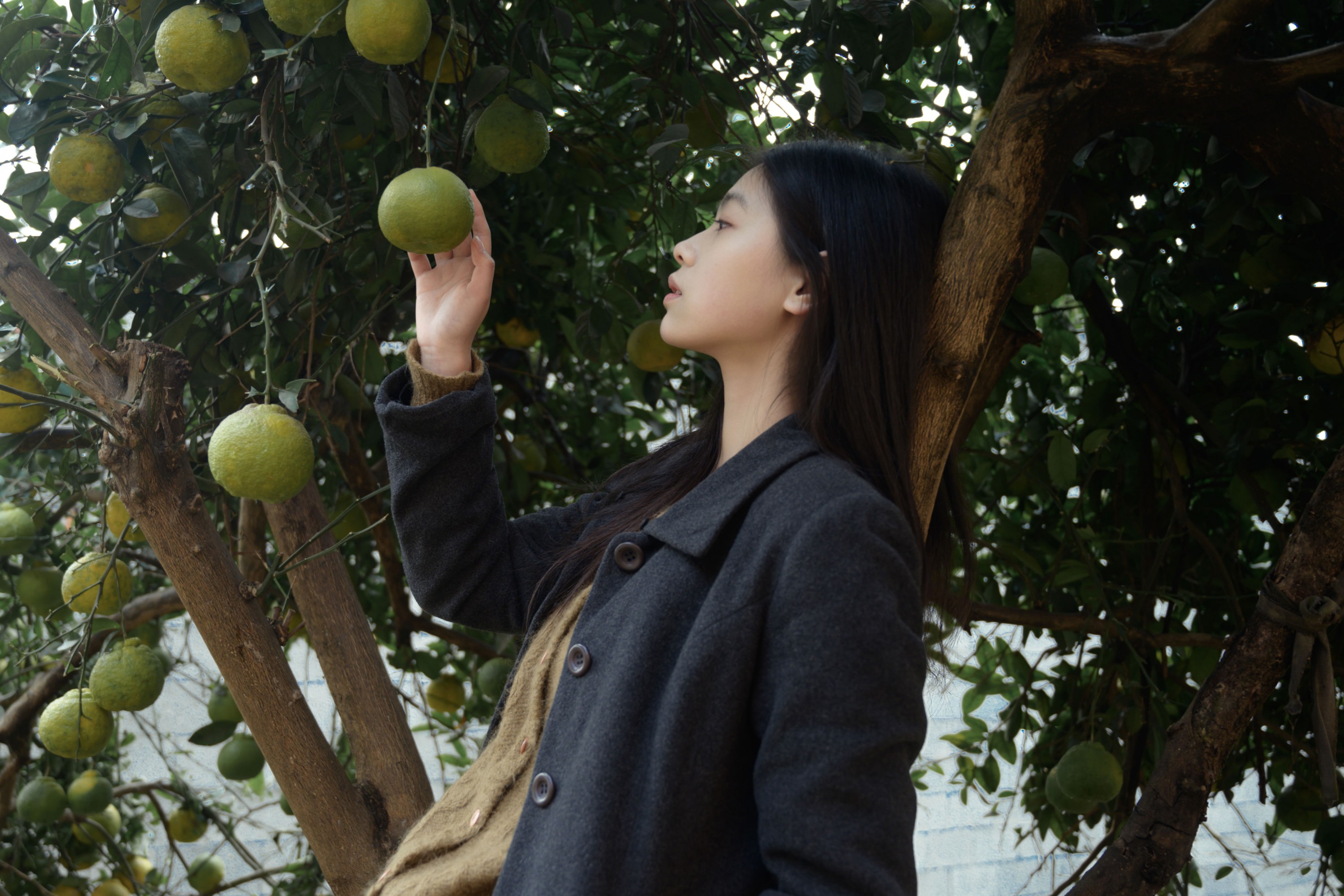 – 《果子》[17P]-COS写真在线网