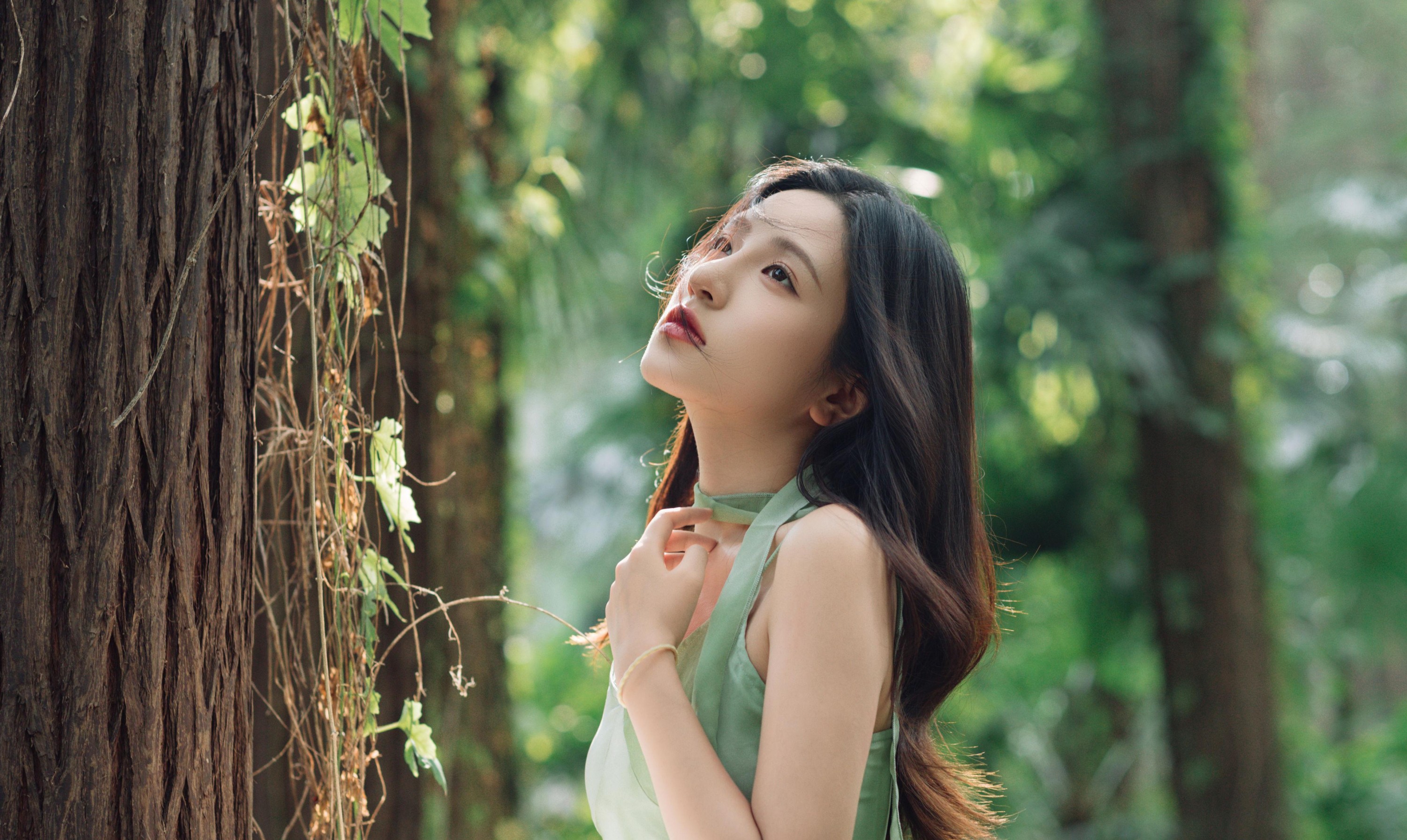图片[2]-豆皮 – 《绿野仙踪》[15P]-COS写真在线网