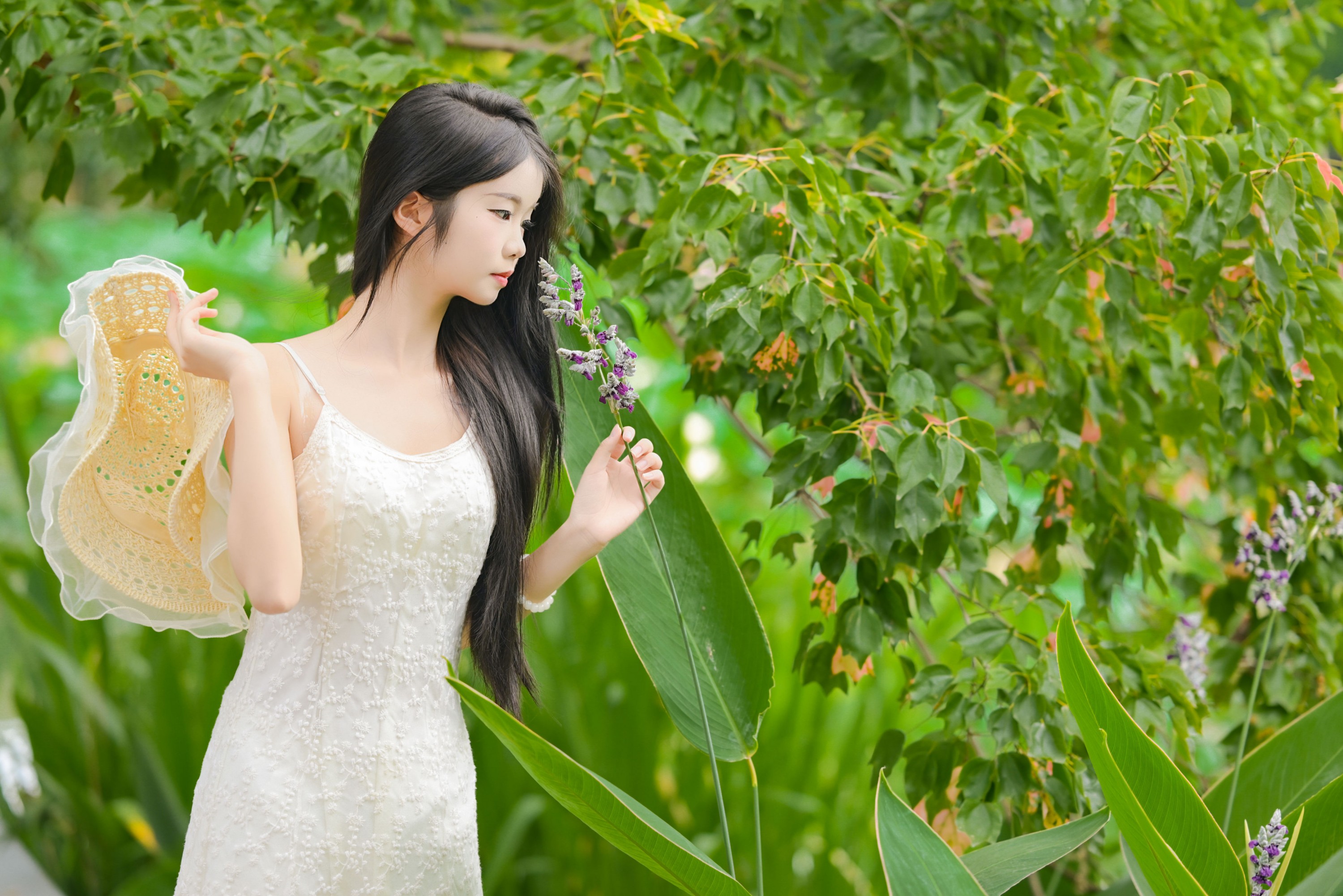 图片[3]-艾青 – 《菁菁芳华》[26P]-COS写真在线网