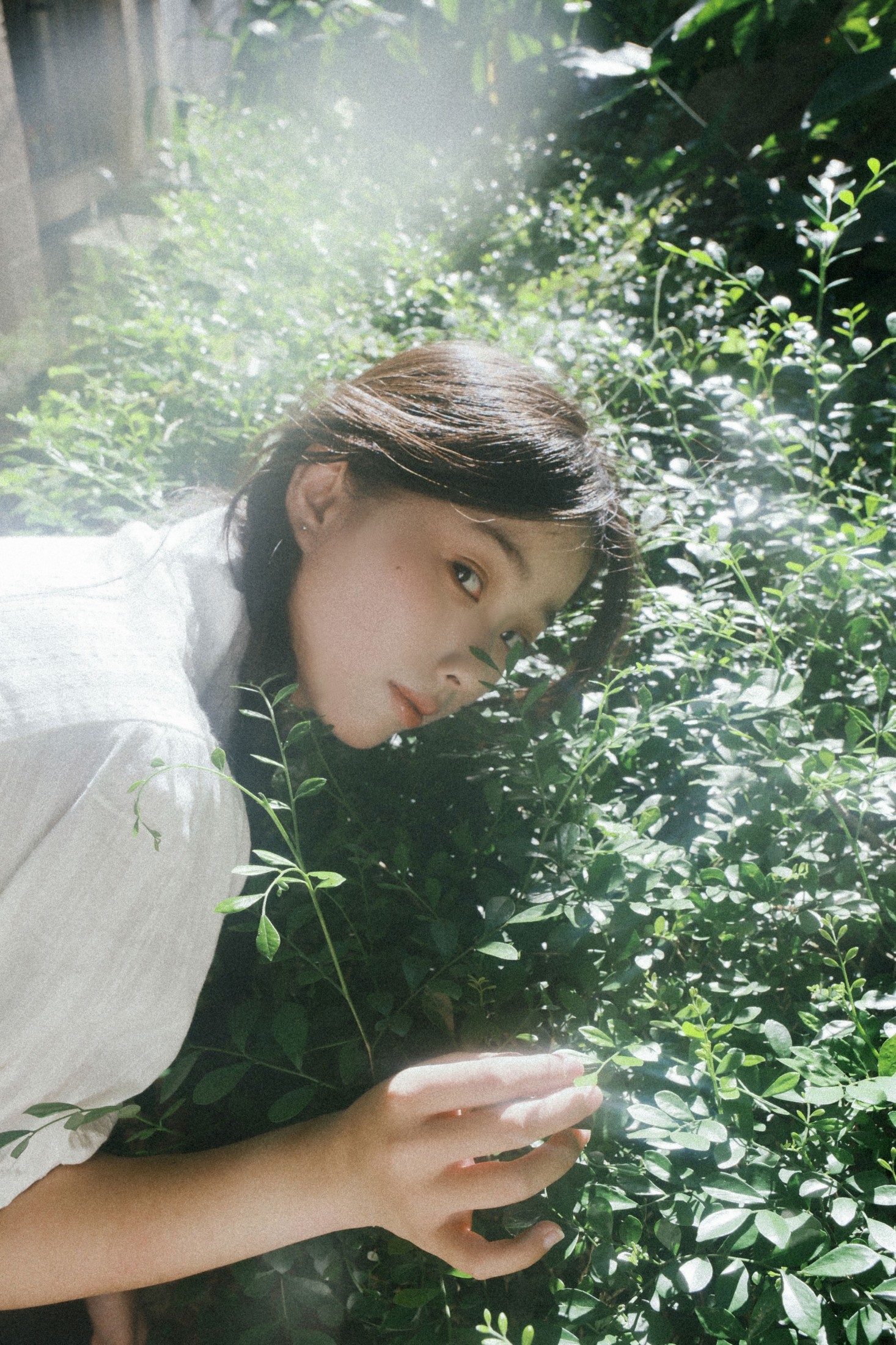 – 《人们为何总是为绿色着迷》[9P]-COS写真在线网