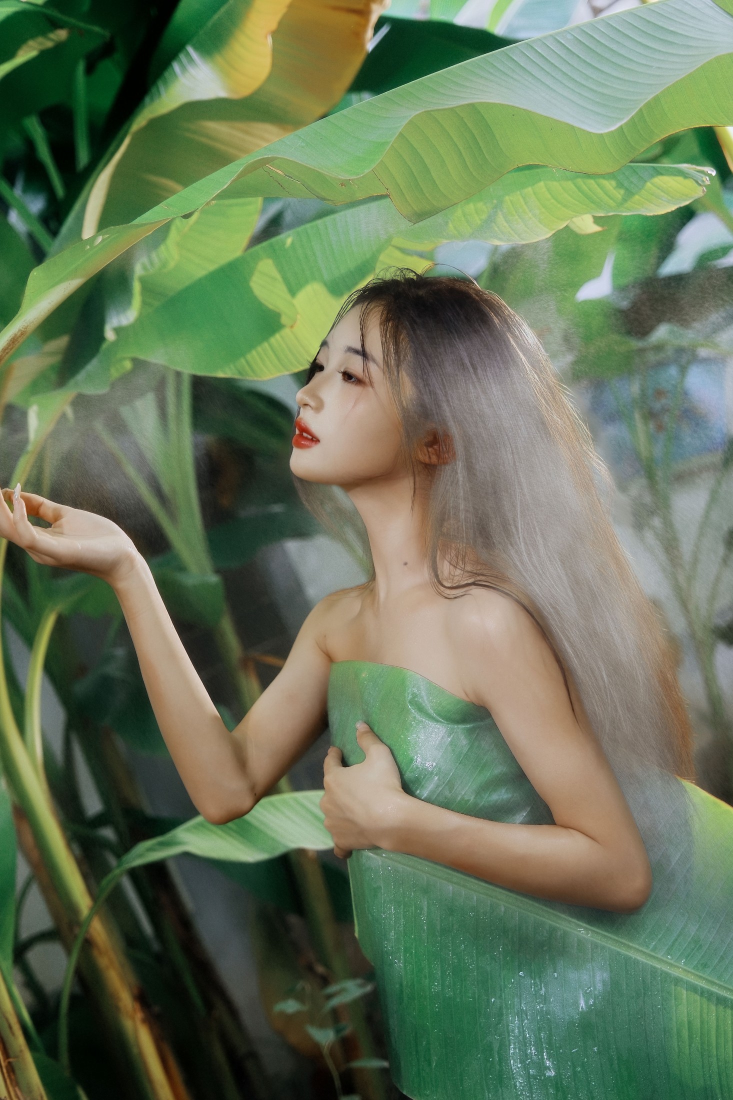 图片[4]-蝴蝶 – 《芭蕉叶下的邂逅》[25P]-COS写真在线网