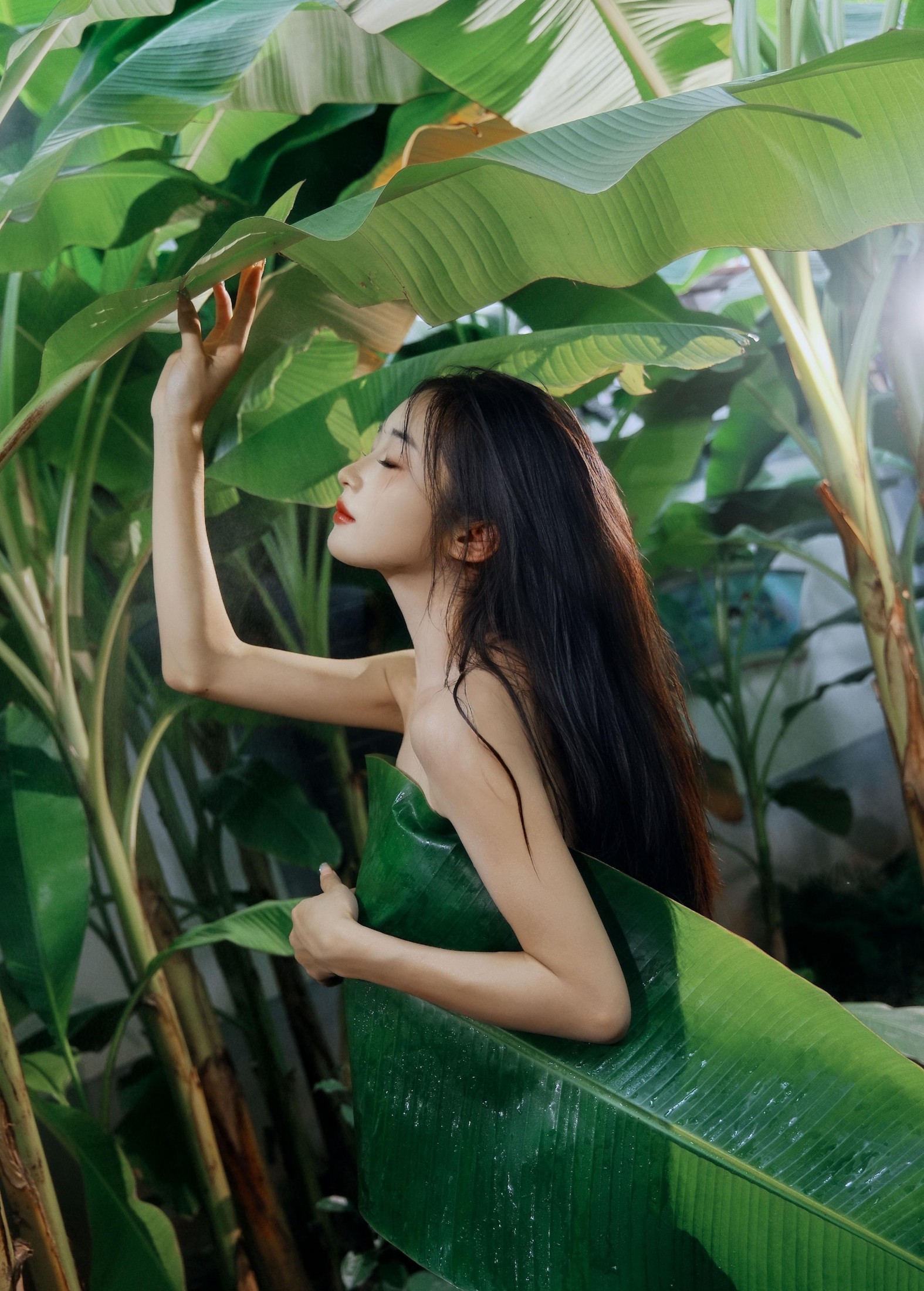 图片[2]-蝴蝶 – 《芭蕉叶下的邂逅》[25P]-COS写真在线网