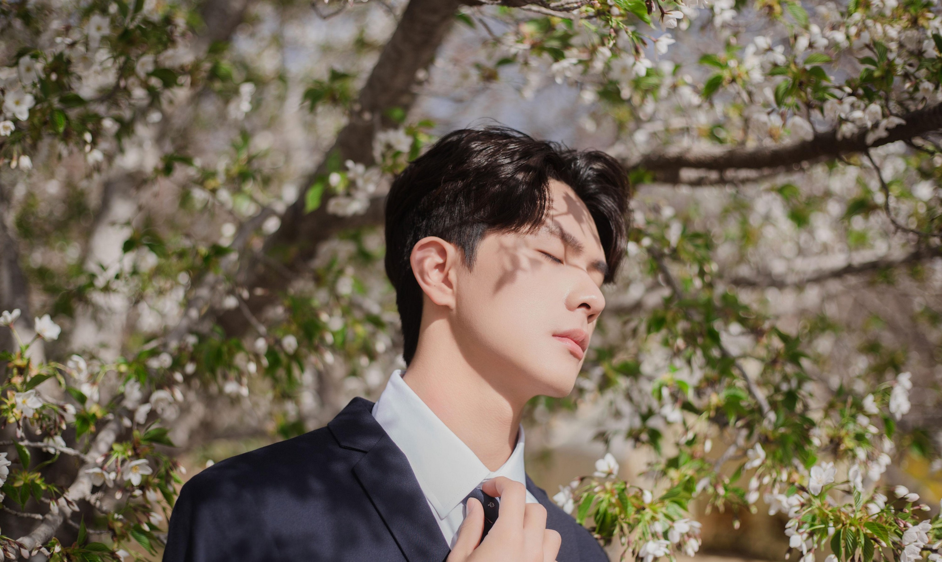 图片[2]-言弟弟 – 《树下樱花男孩》[28P]-COS写真在线网