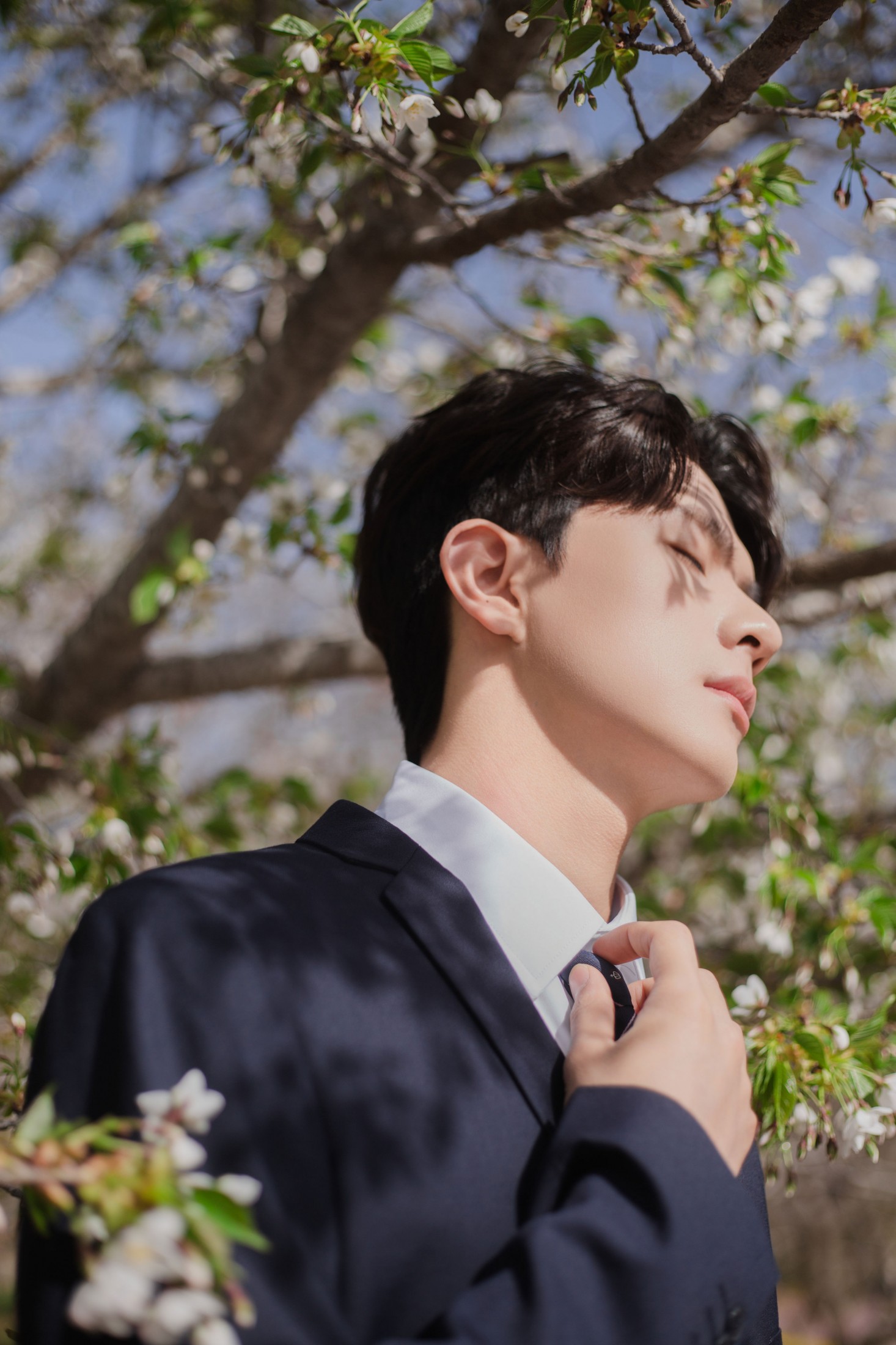 图片[3]-言弟弟 – 《树下樱花男孩》[28P]-COS写真在线网