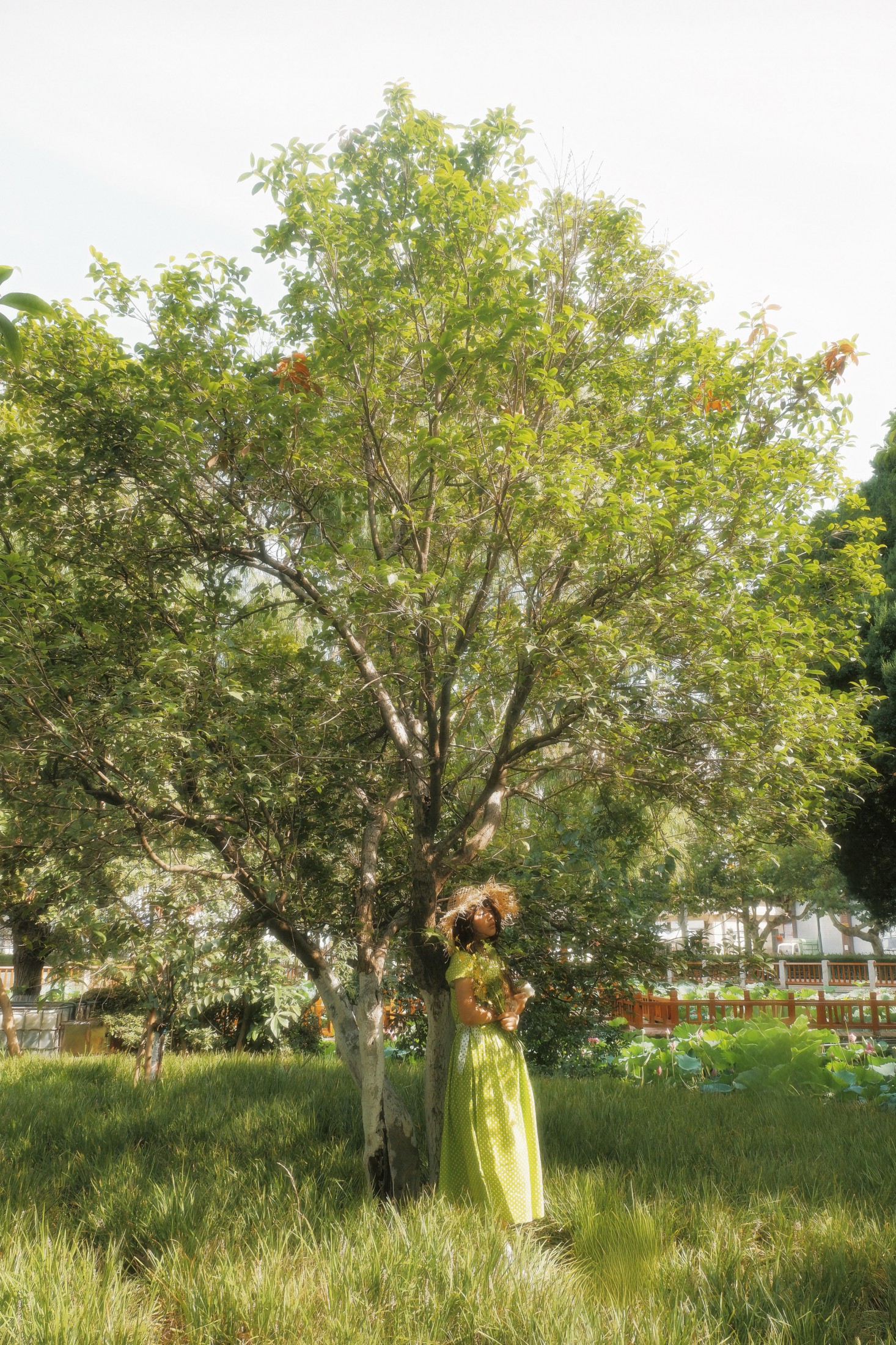 图片[3]-– 《我可否將你比作一個夏日》[10P]-COS写真在线网