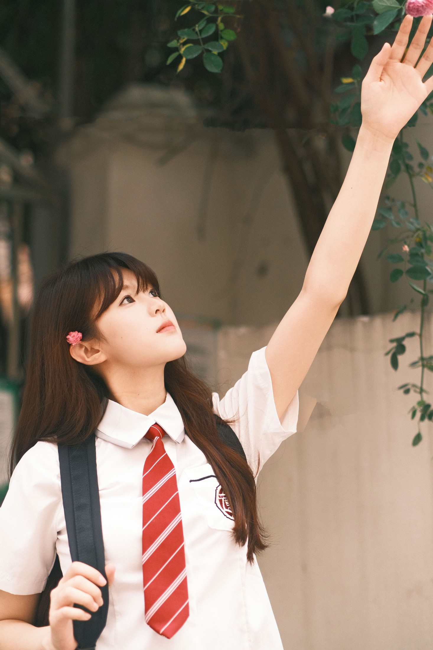 图片[5]-可爱多 – 《学姐你好》[23P]-COS写真在线网